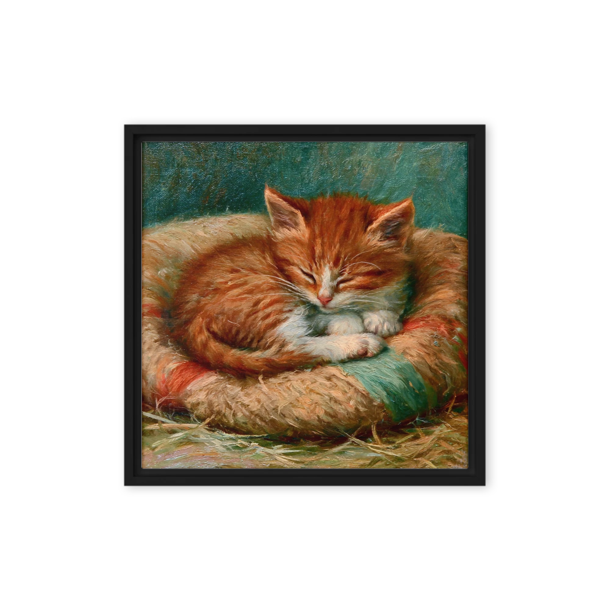 Sleeping Ginger Kitten
