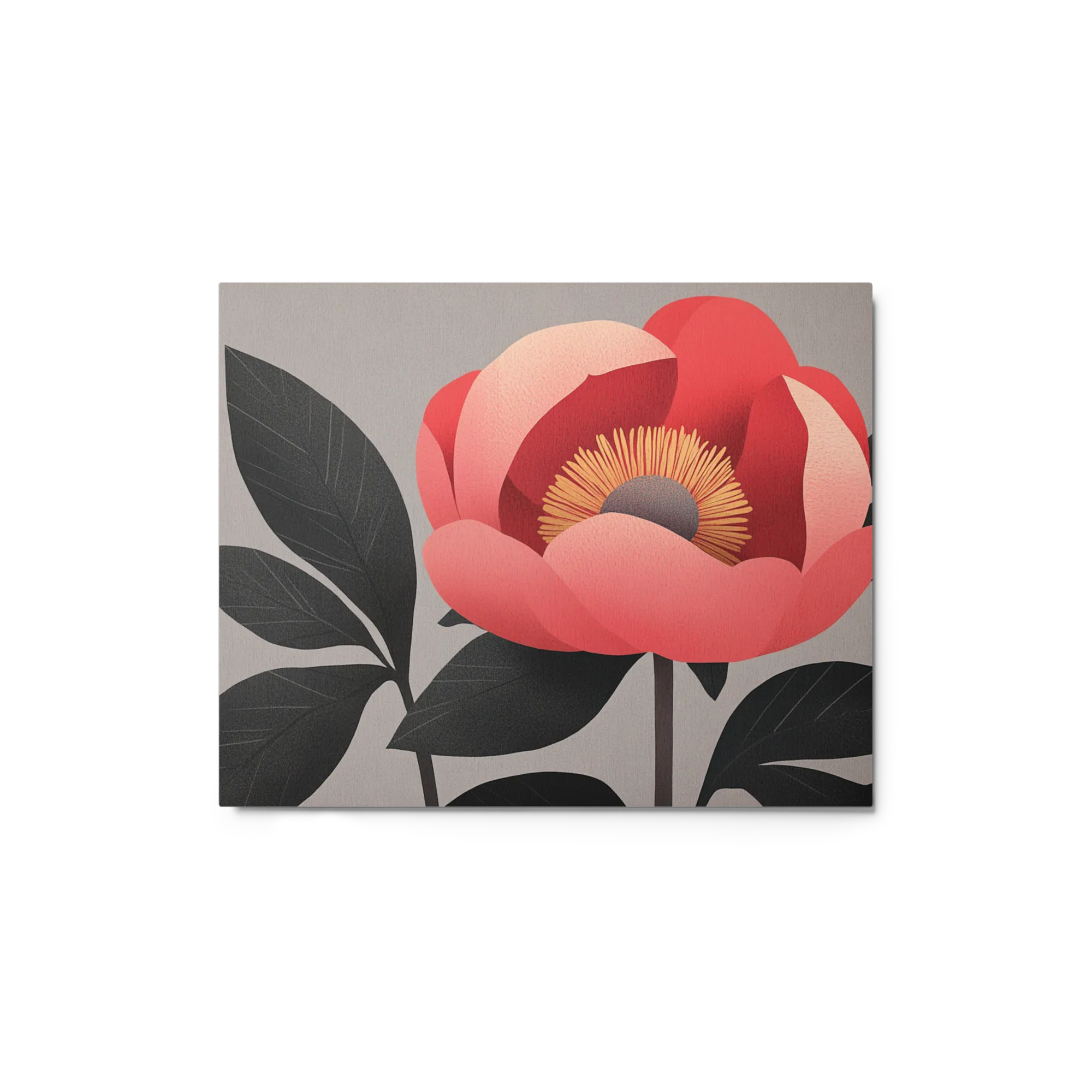 Coral Peony