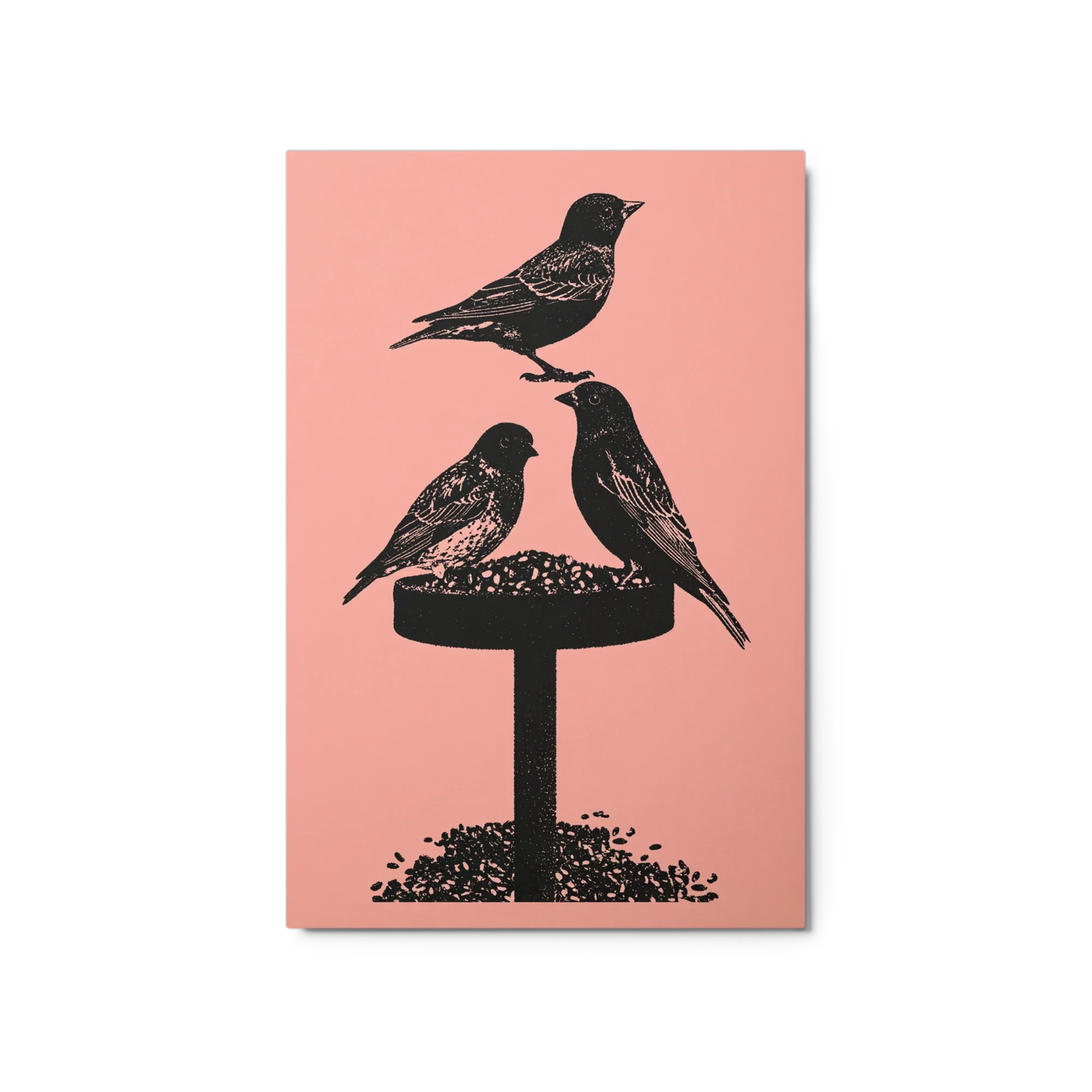Birds at the Feeder
