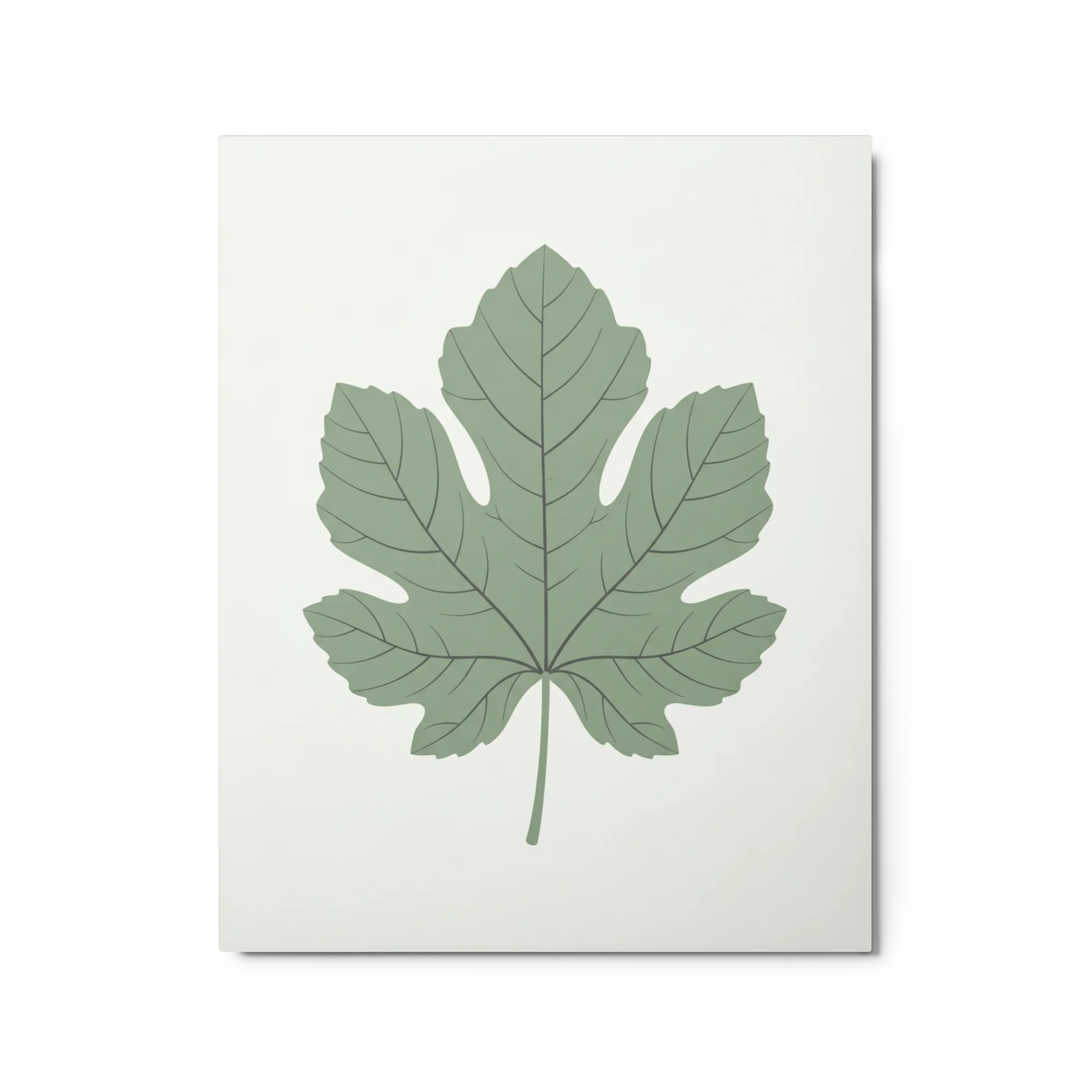 Fig Leaf Study