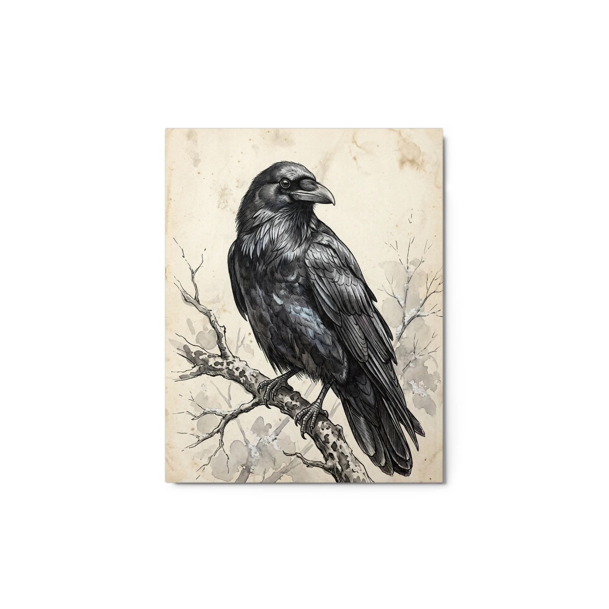 Lone Raven on Branch