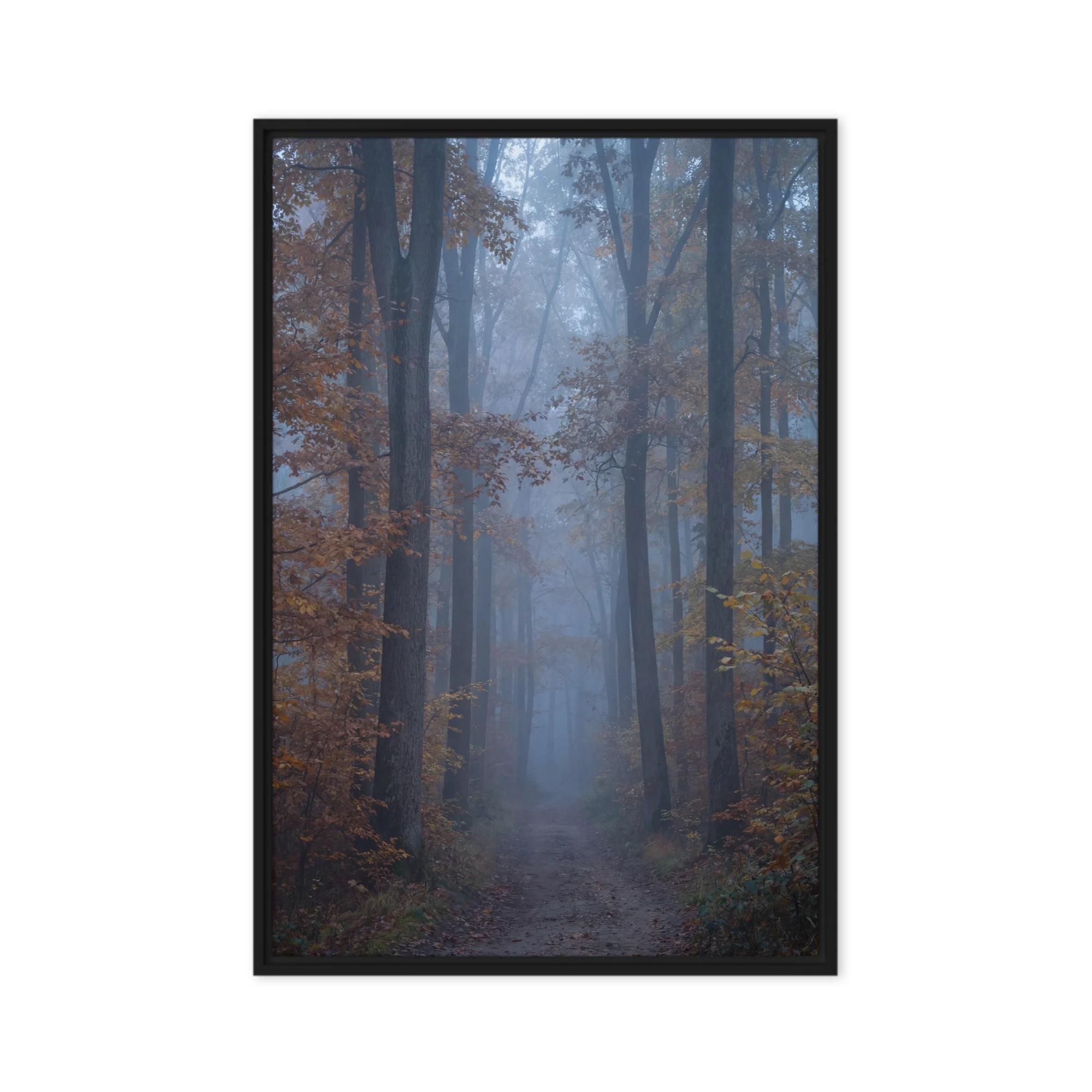 Mystical Foggy Forest | Art Print