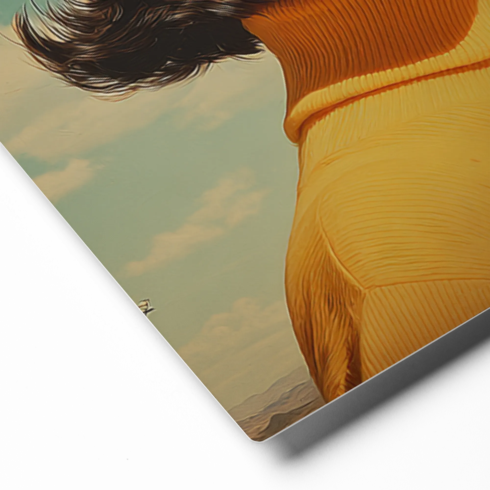 Skyward Bound 
 Canvas with White Frame