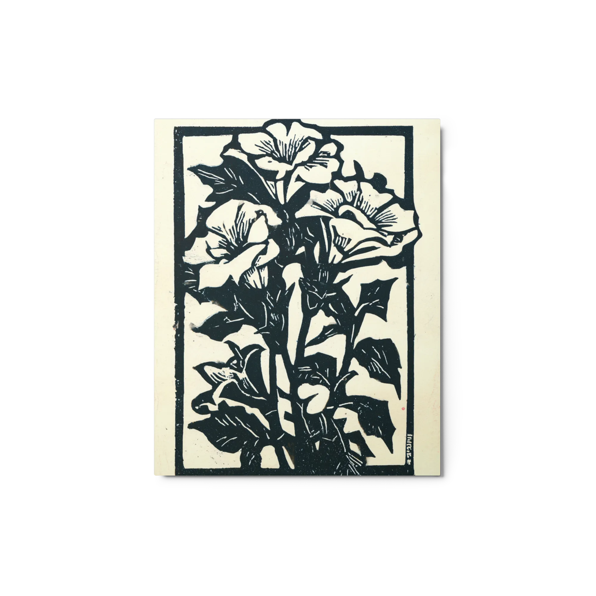 Morning Glory Woodcut