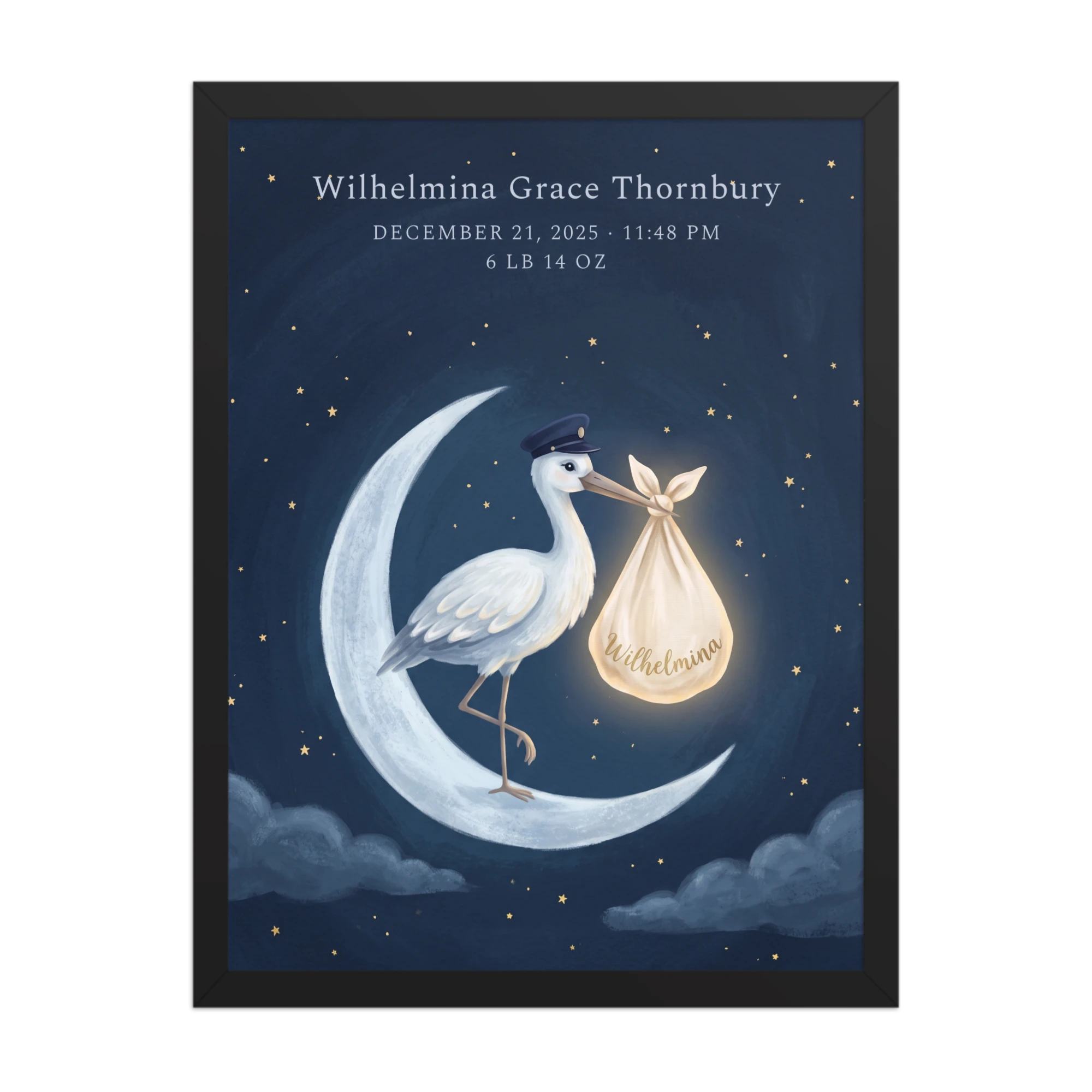 Moonlit Stork
