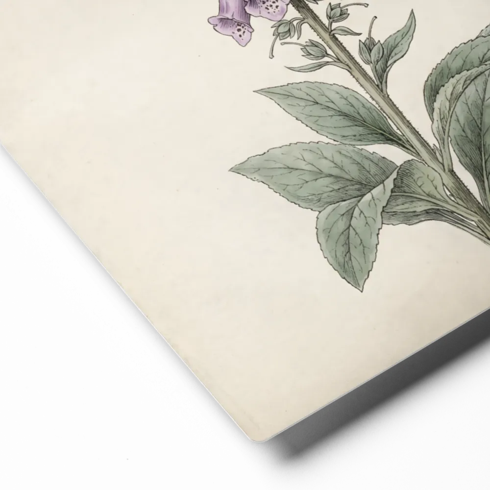 Regal Foxglove Bloom 
 Canvas | 24″x 30″