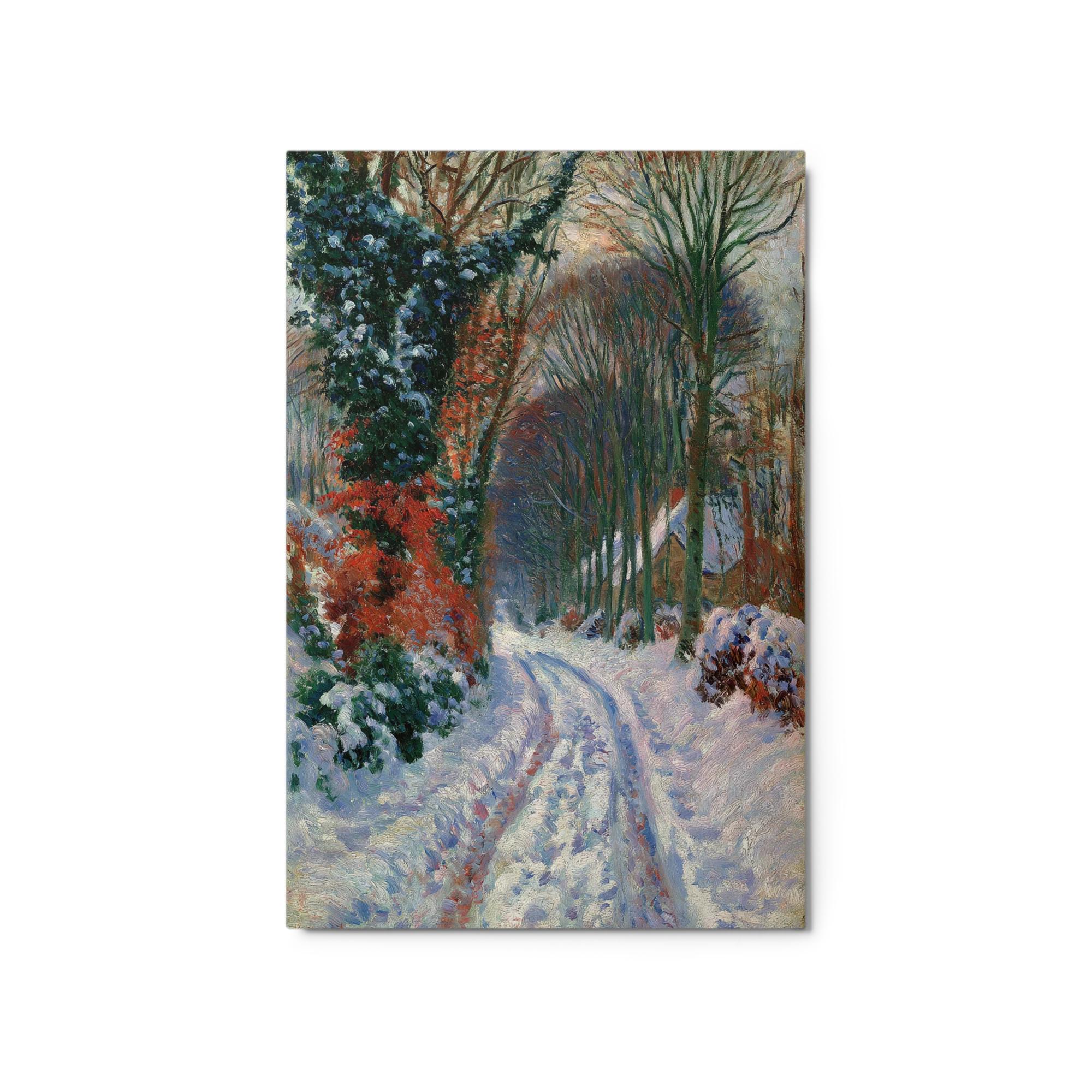 Snowy Path in the Woods