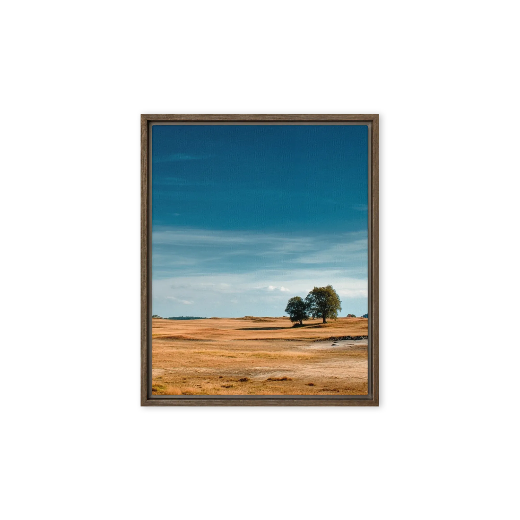 Solitary Horizon