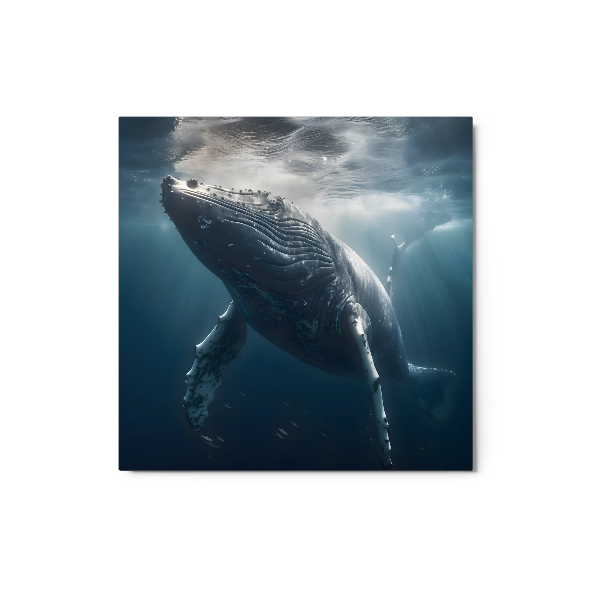 Deep Blue Majesty