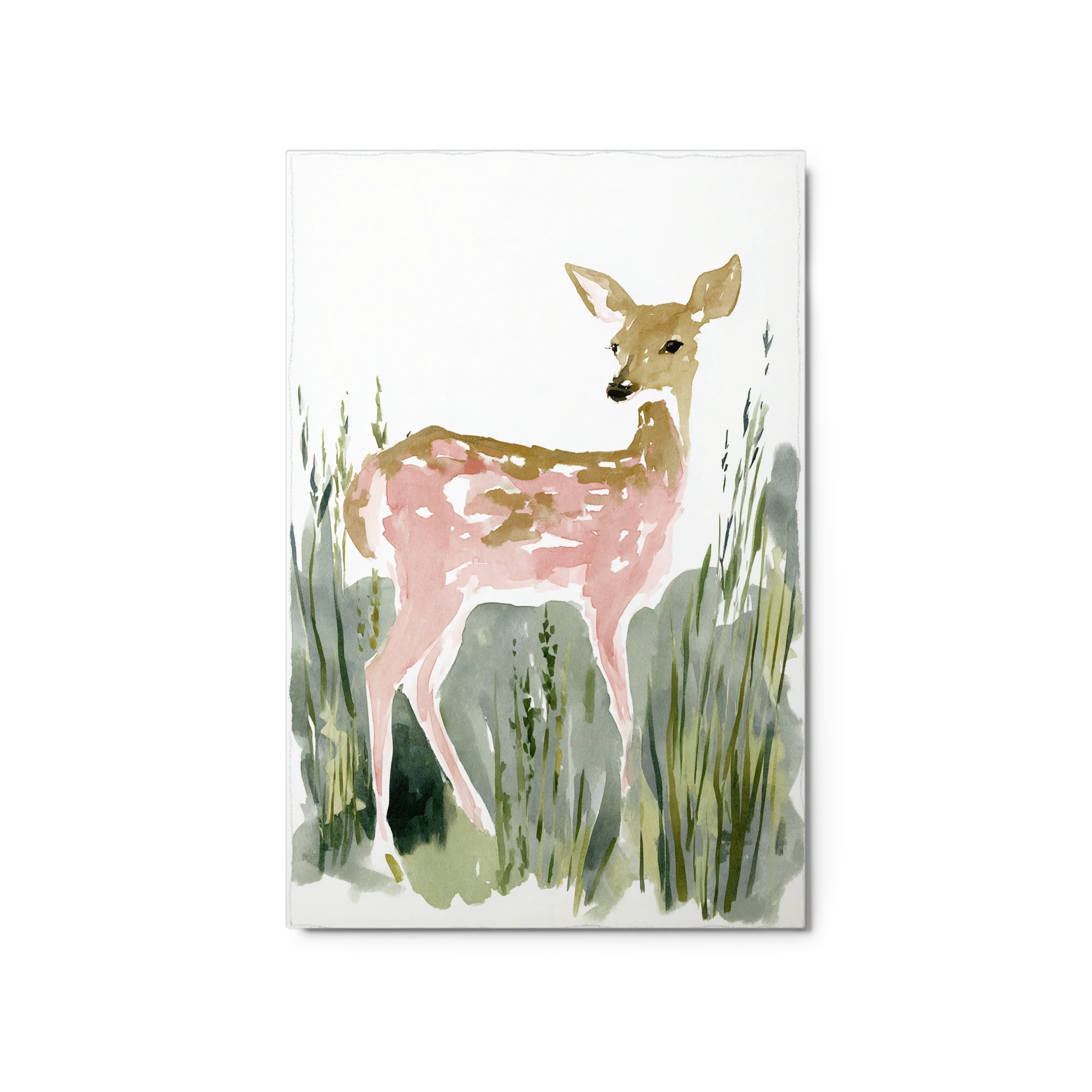 Soft Fawn in Grass