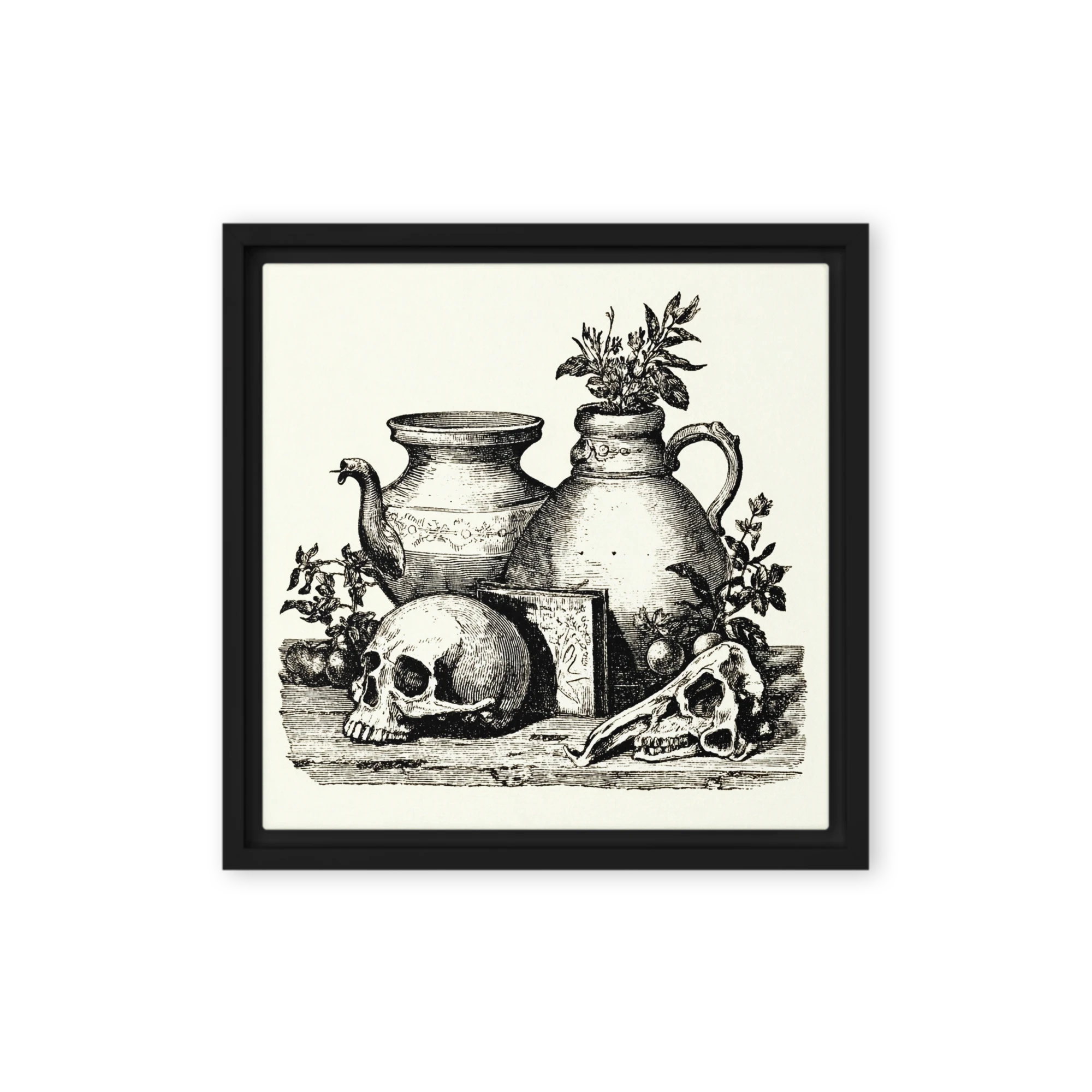 Vanitas Still Life with Skulls