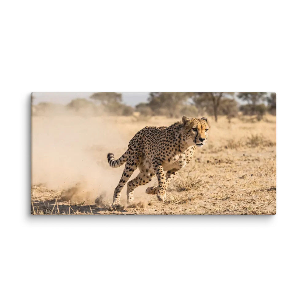 Savannah Cheetah Sprint 
 Canvas | 12″x 24″