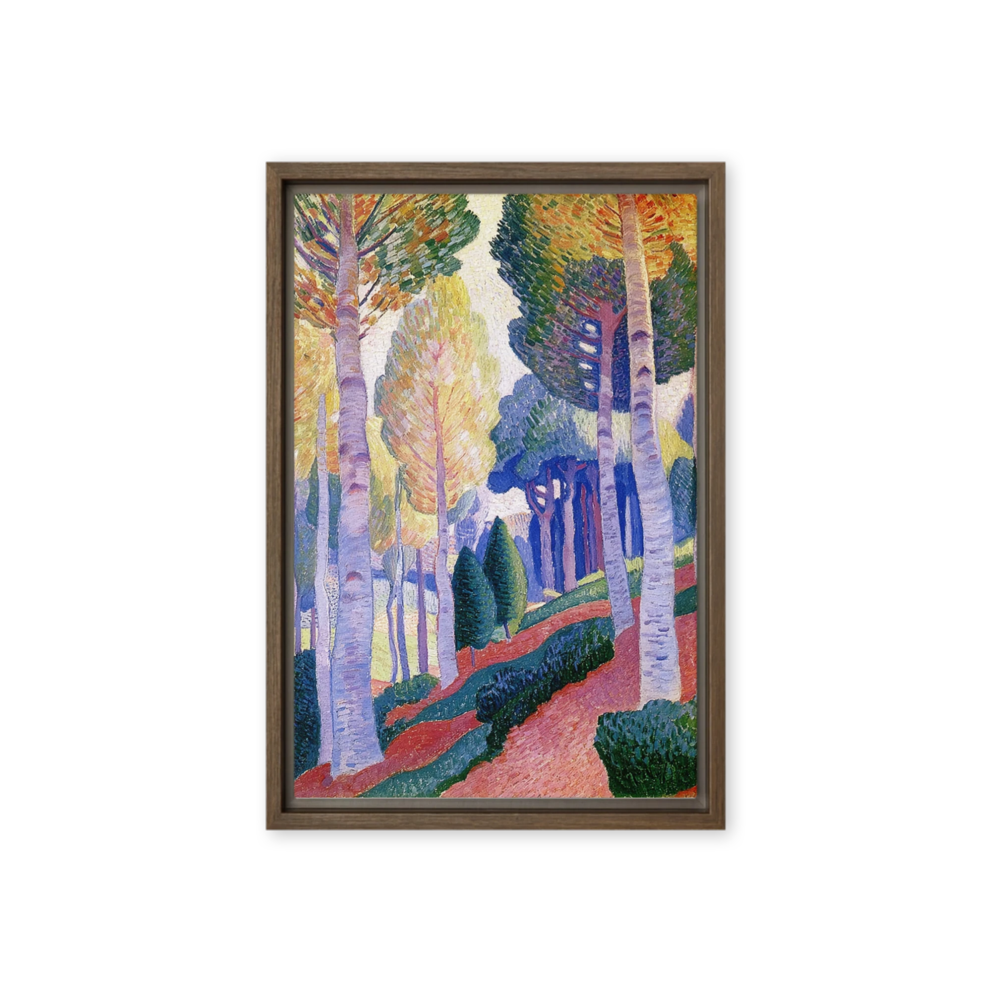 The Sunlit Grove