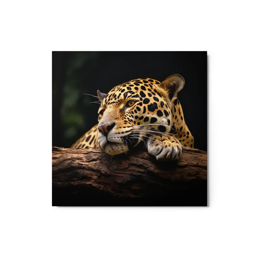 Pondering Jaguar | Art Print