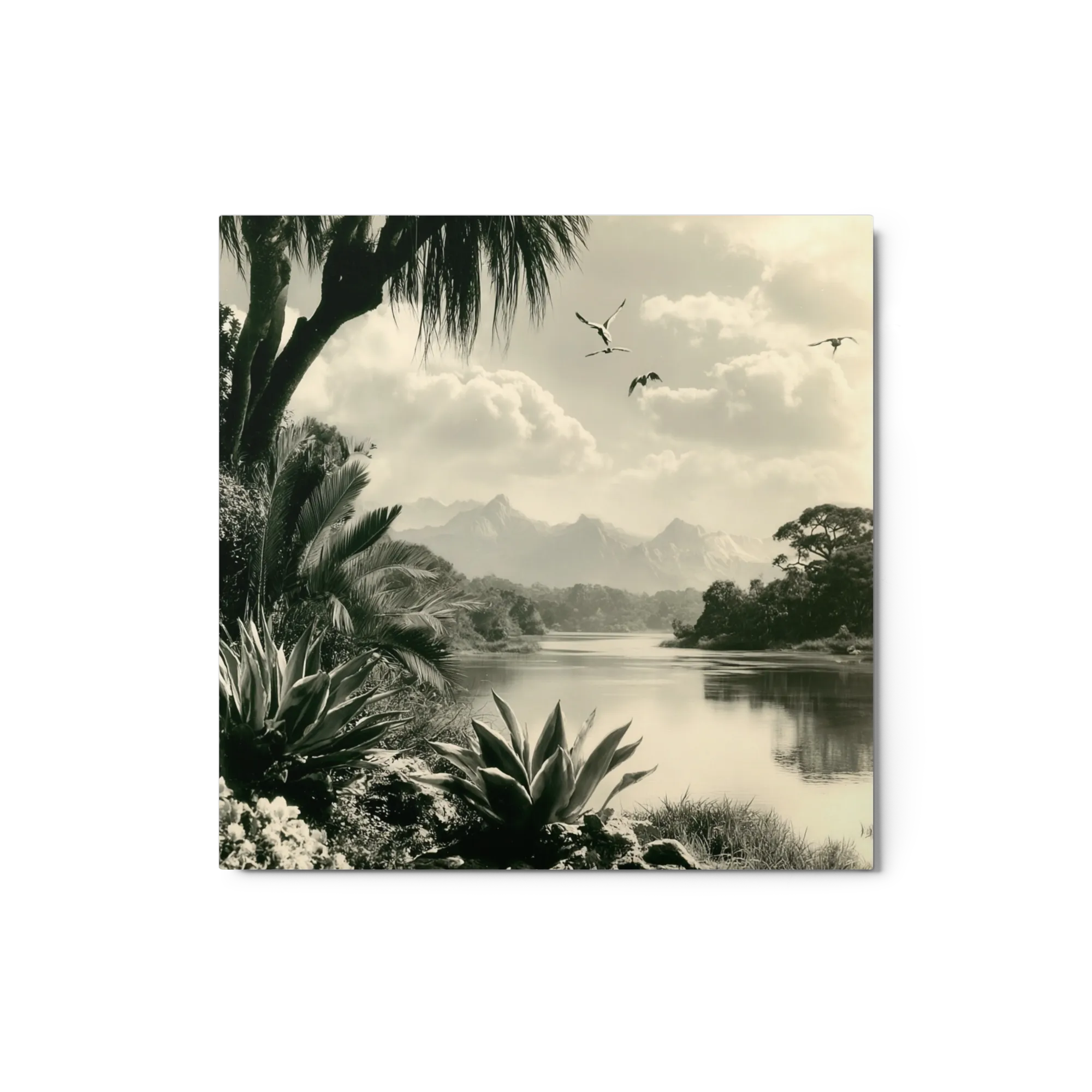Serene Tropical Valley