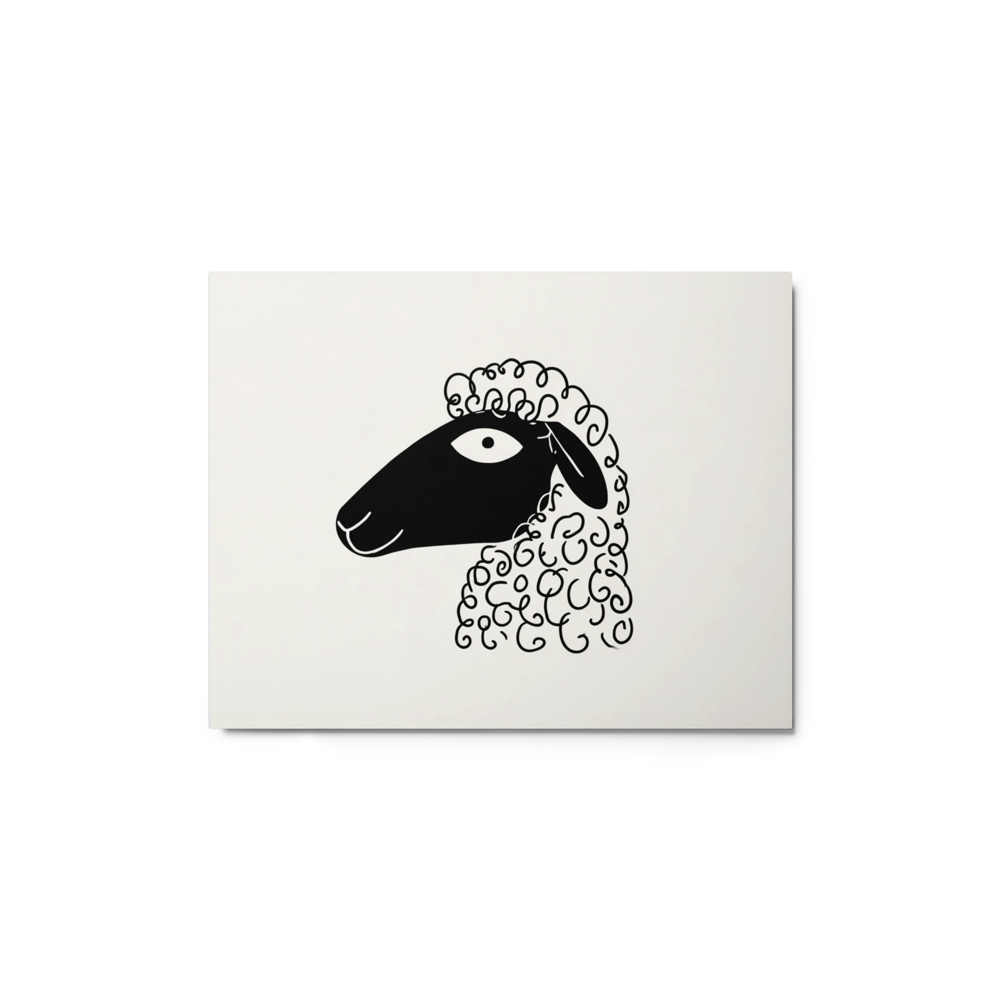 Curly Wool Sheep