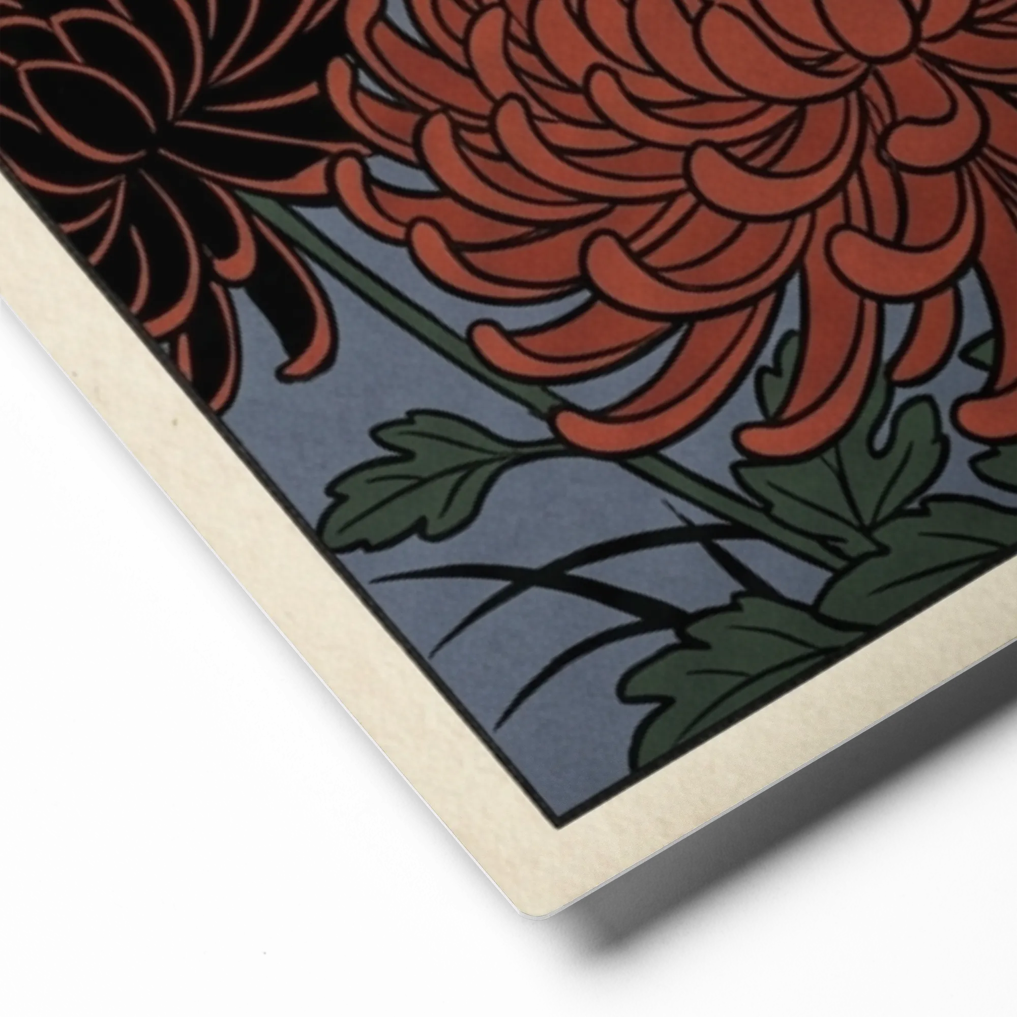 Midnight Chrysanthemums 
 Canvas with White Frame