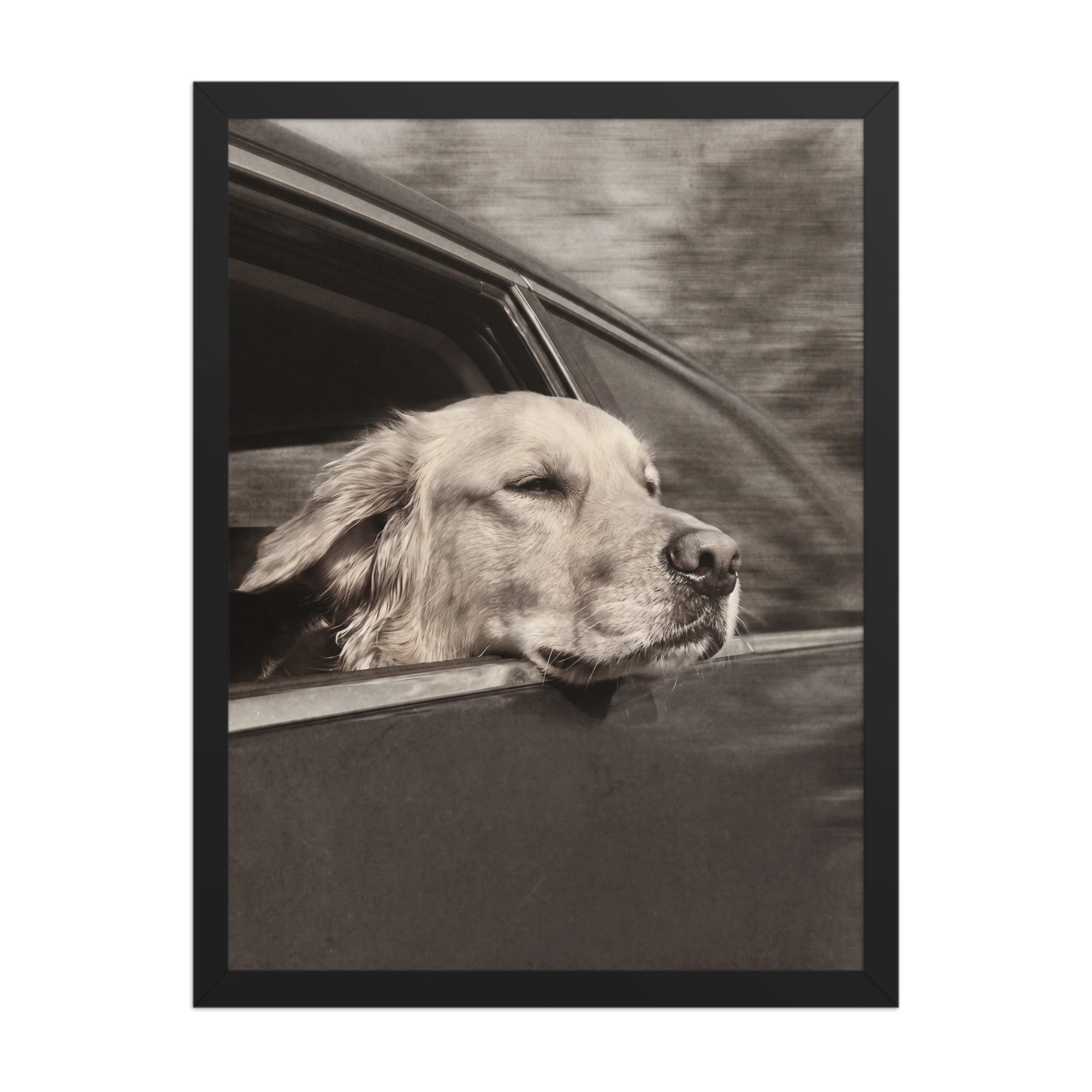 Car Window — Silver Screen