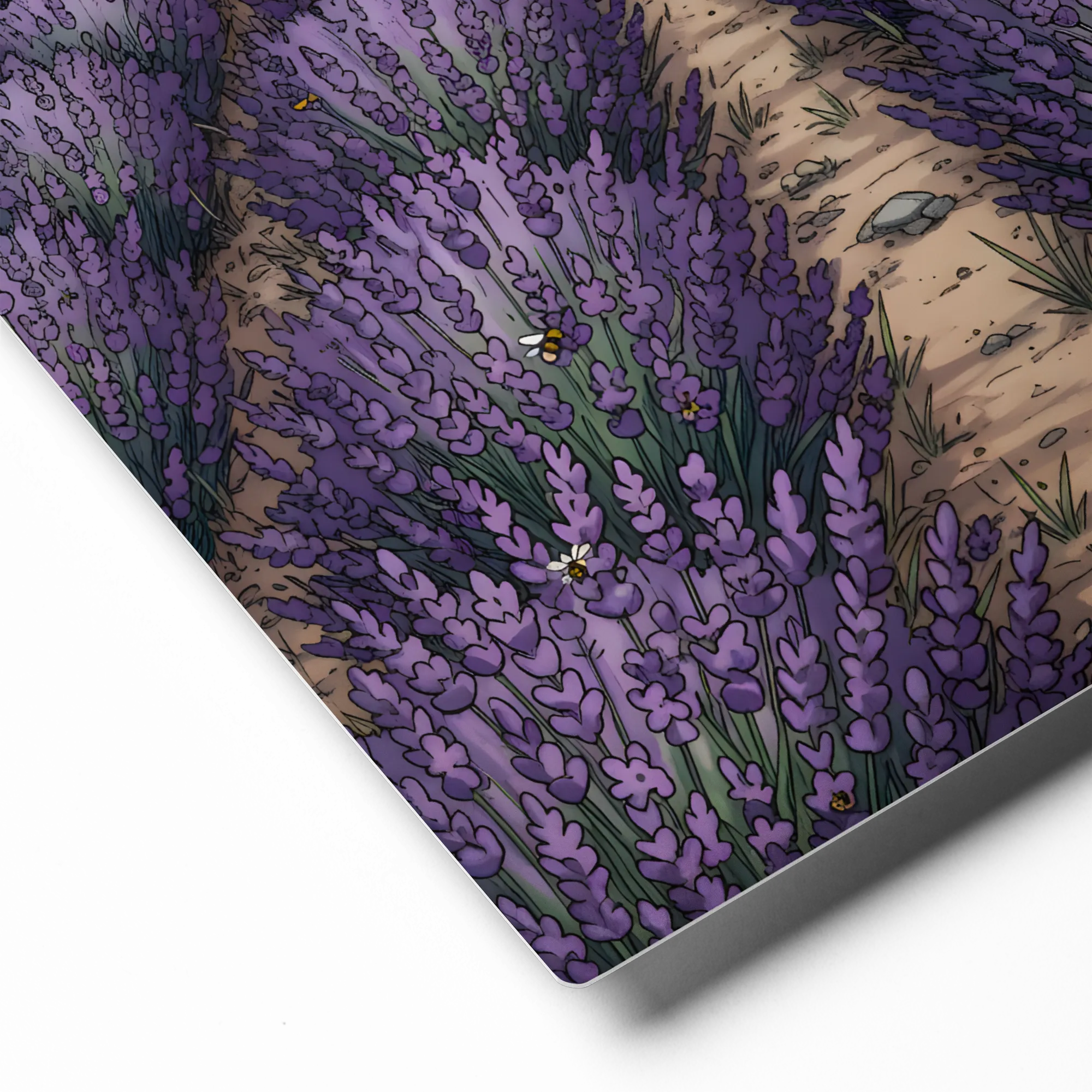 Provence Lavender Field 
 Metal Print | 11″x 14″