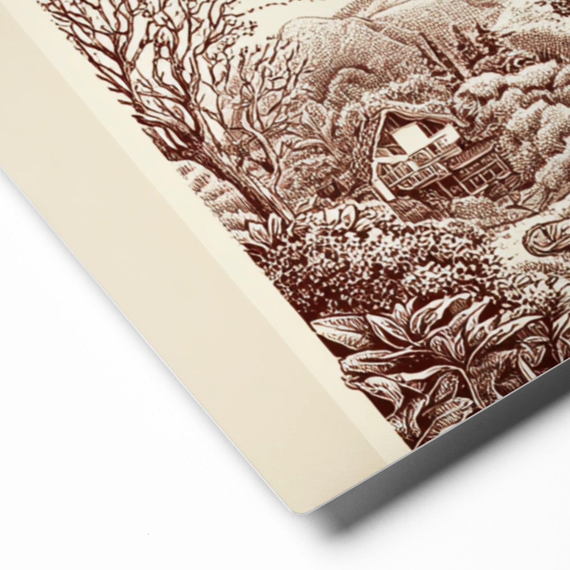 Ancient Tree Landscape | Art Print