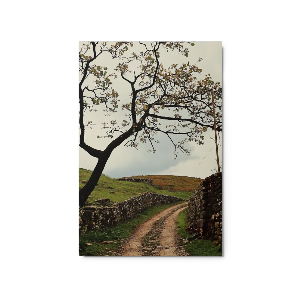 Winding Path Through Hills | Art Print