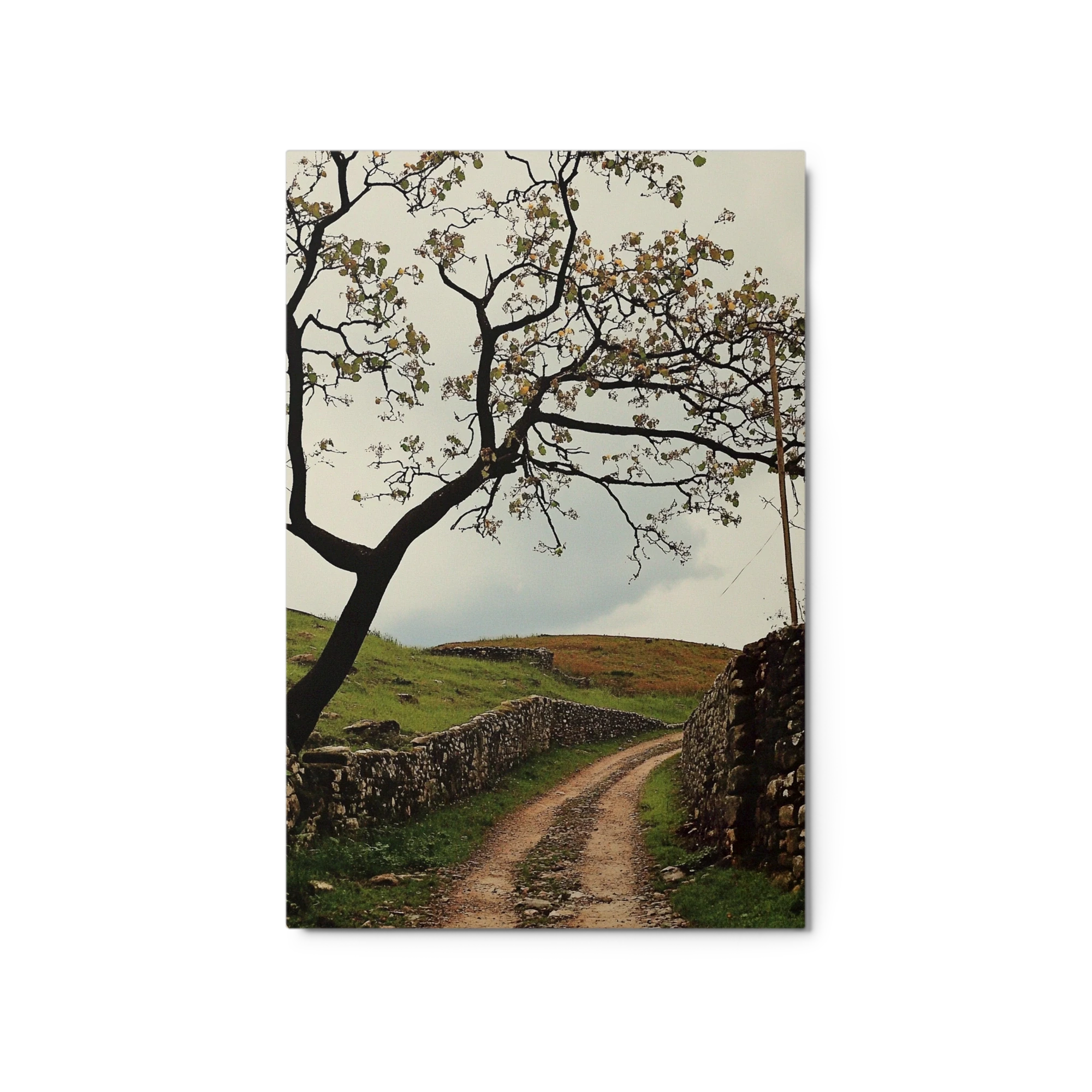 Serene Landscape with Tree and Dirt Path