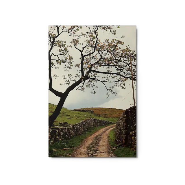 Winding Path Through Hills | Art Print