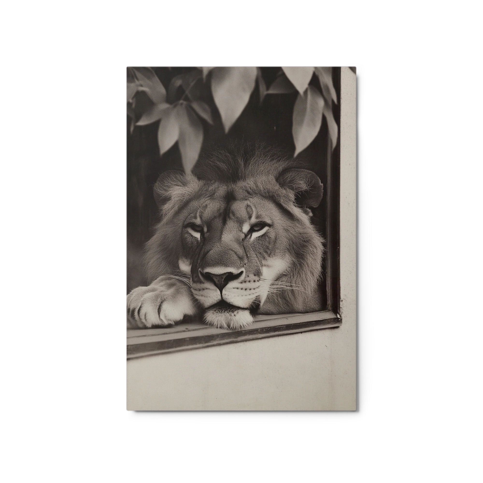 Watchful Gaze