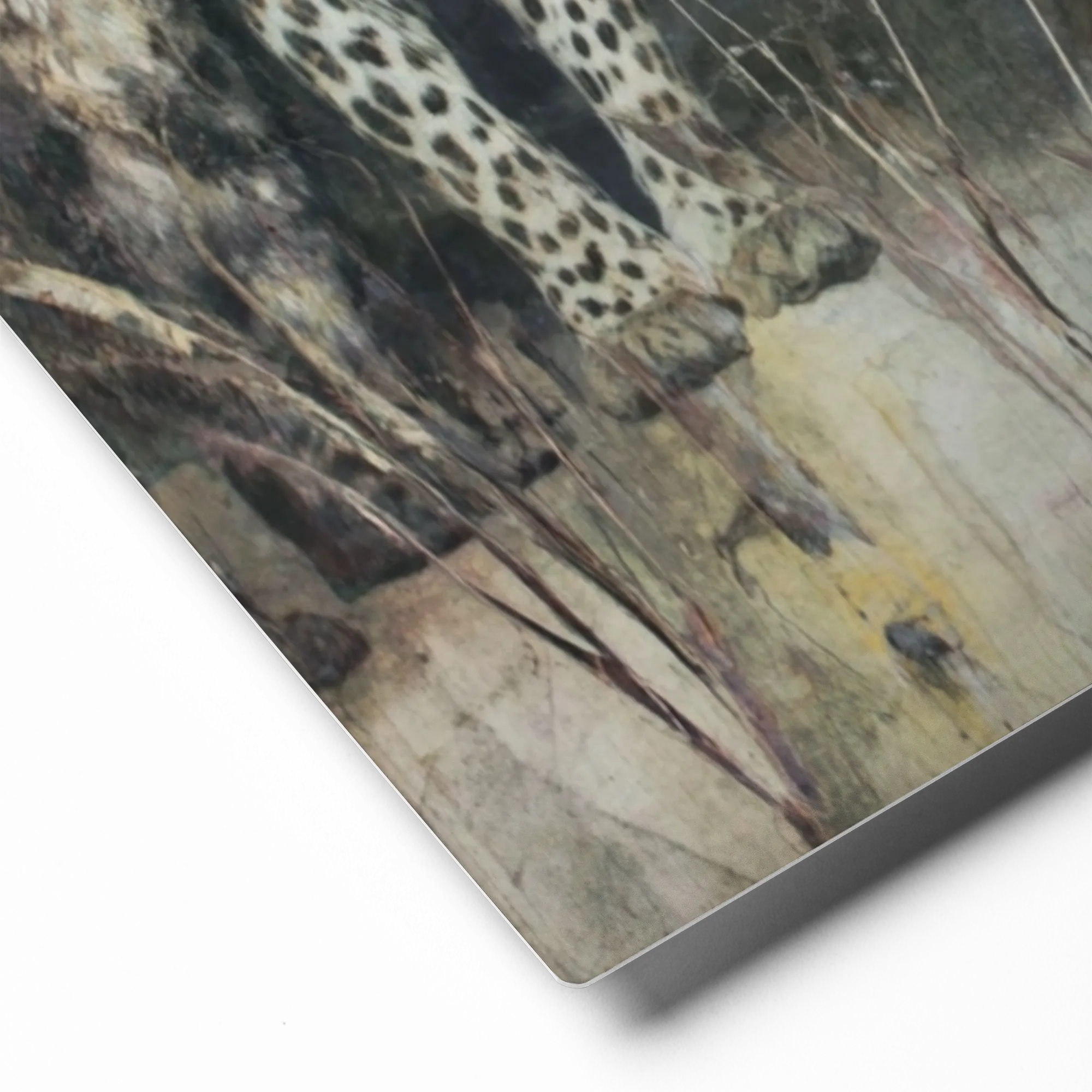 Wild Waters and Leopard | Art Print