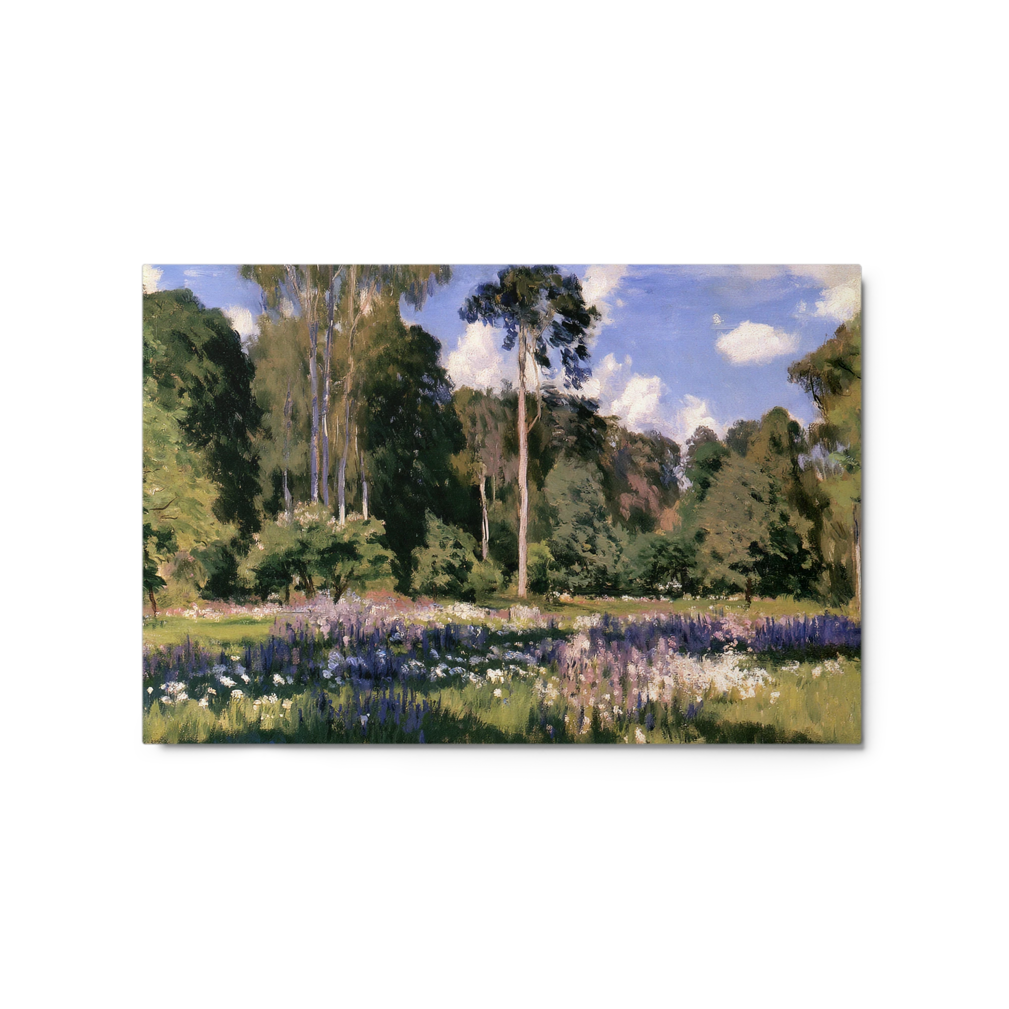 Meadow in Bloom