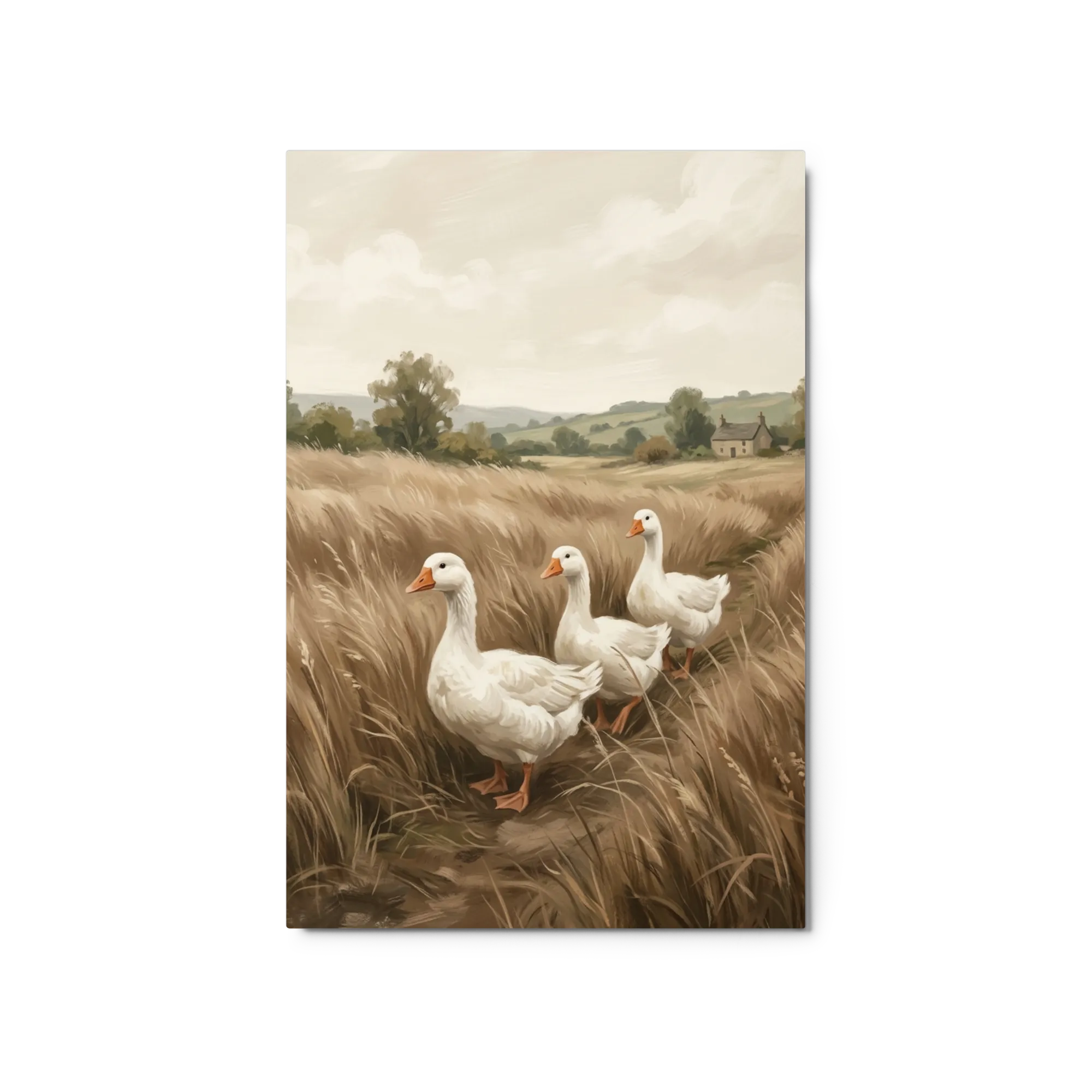 Geese in the Meadow