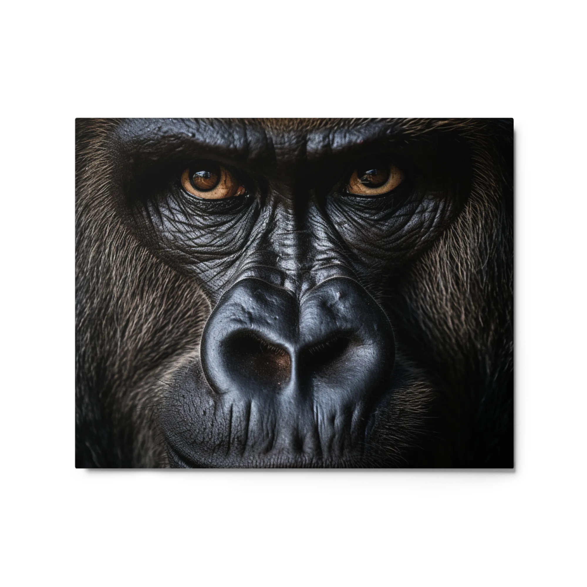 The Observer