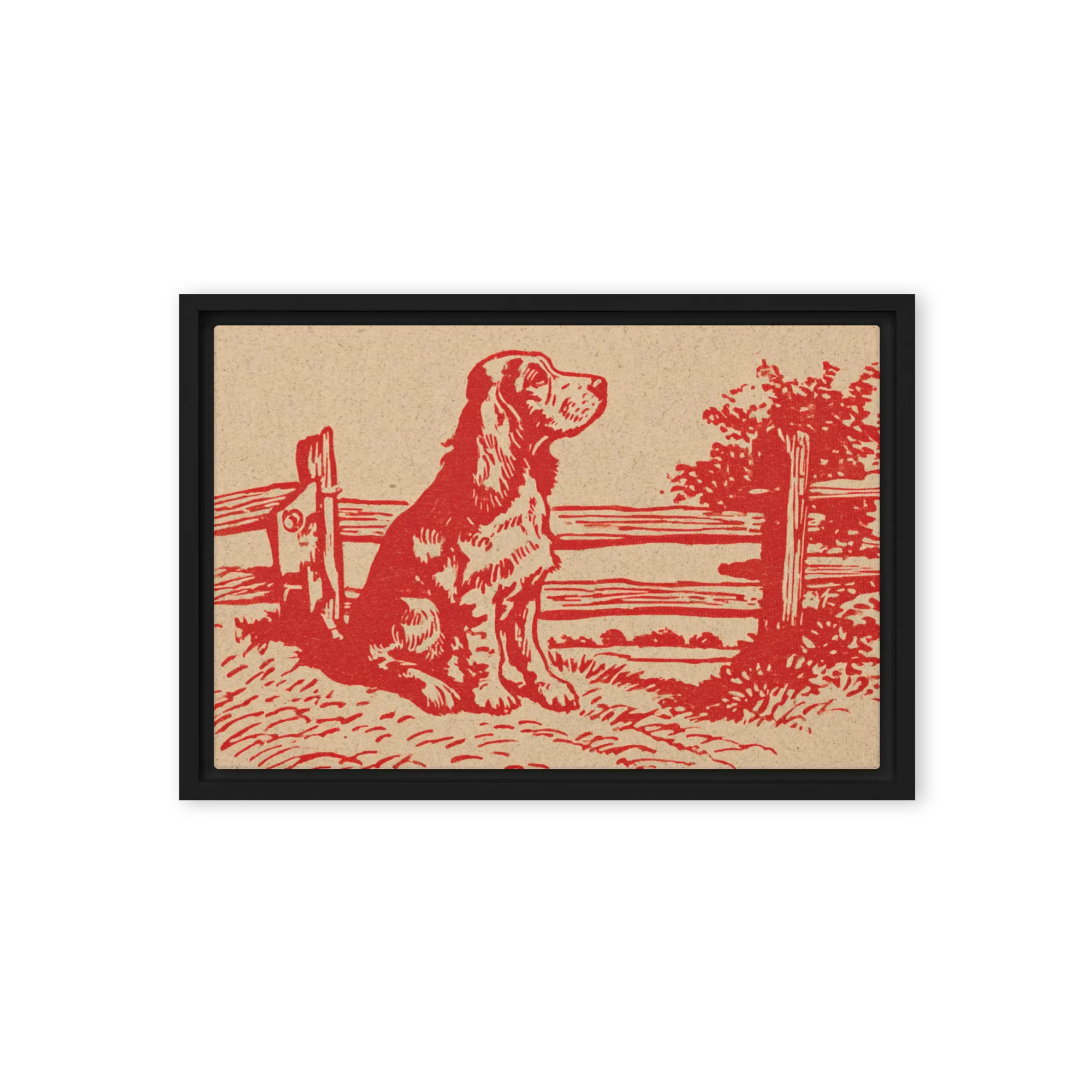 The Watchful Setter