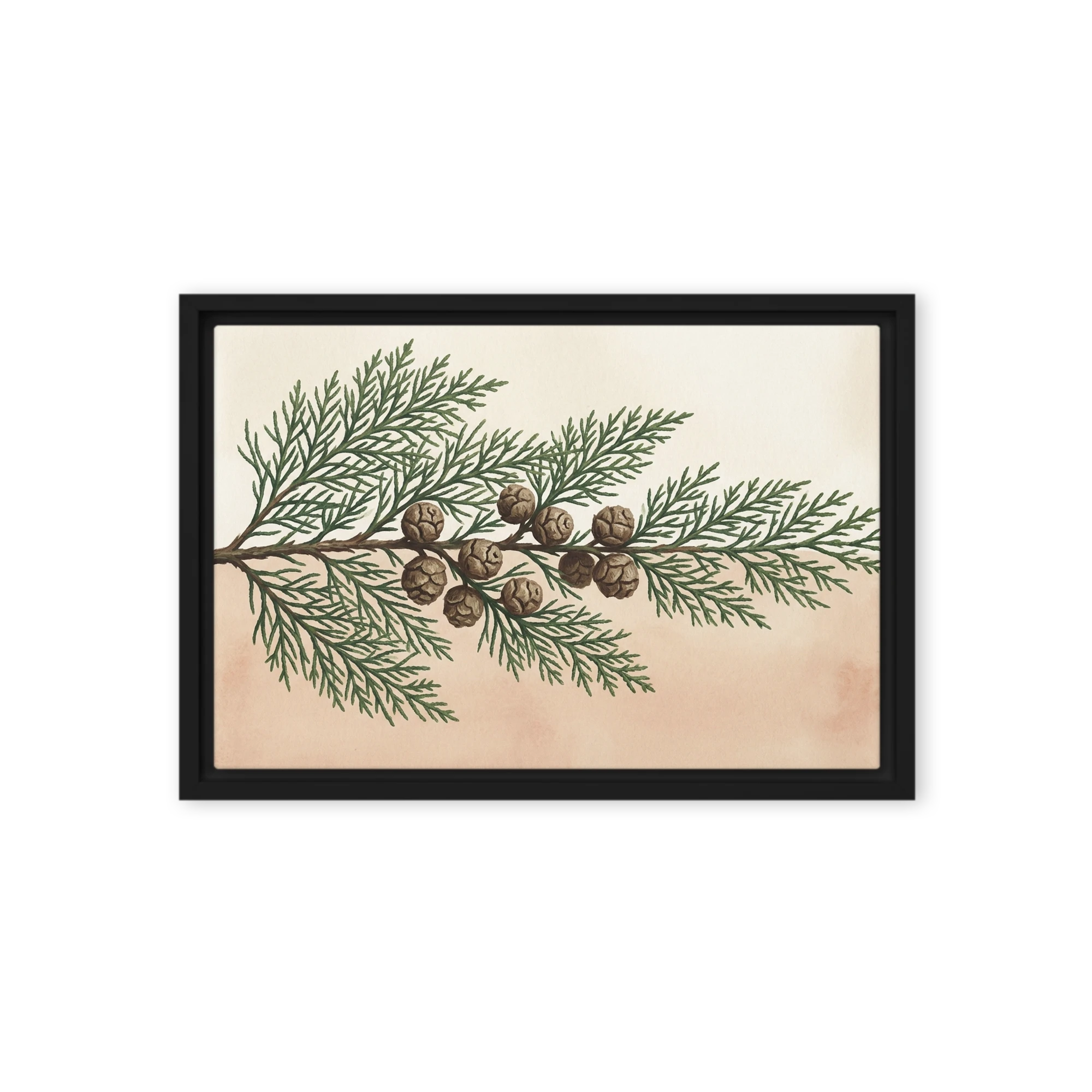 The Cypress Branch | Art Print