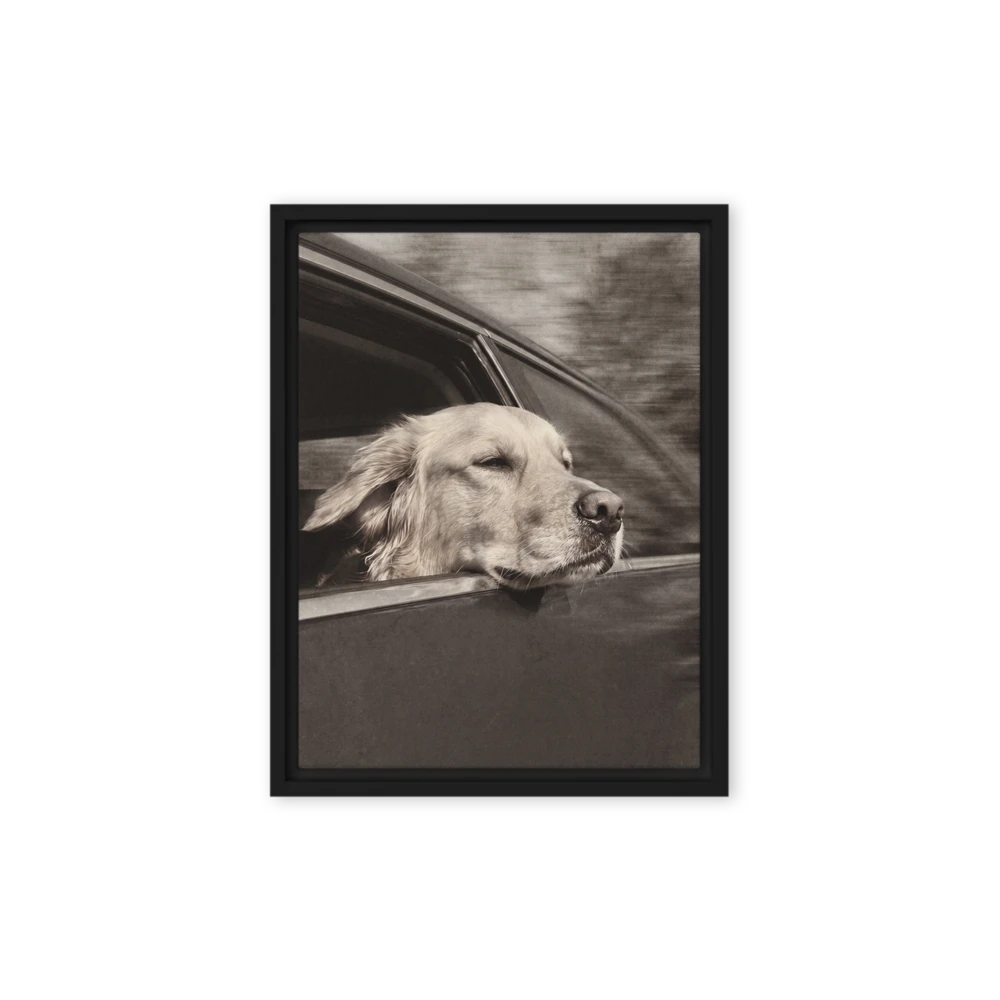 Pet Portrait — Silver Screen