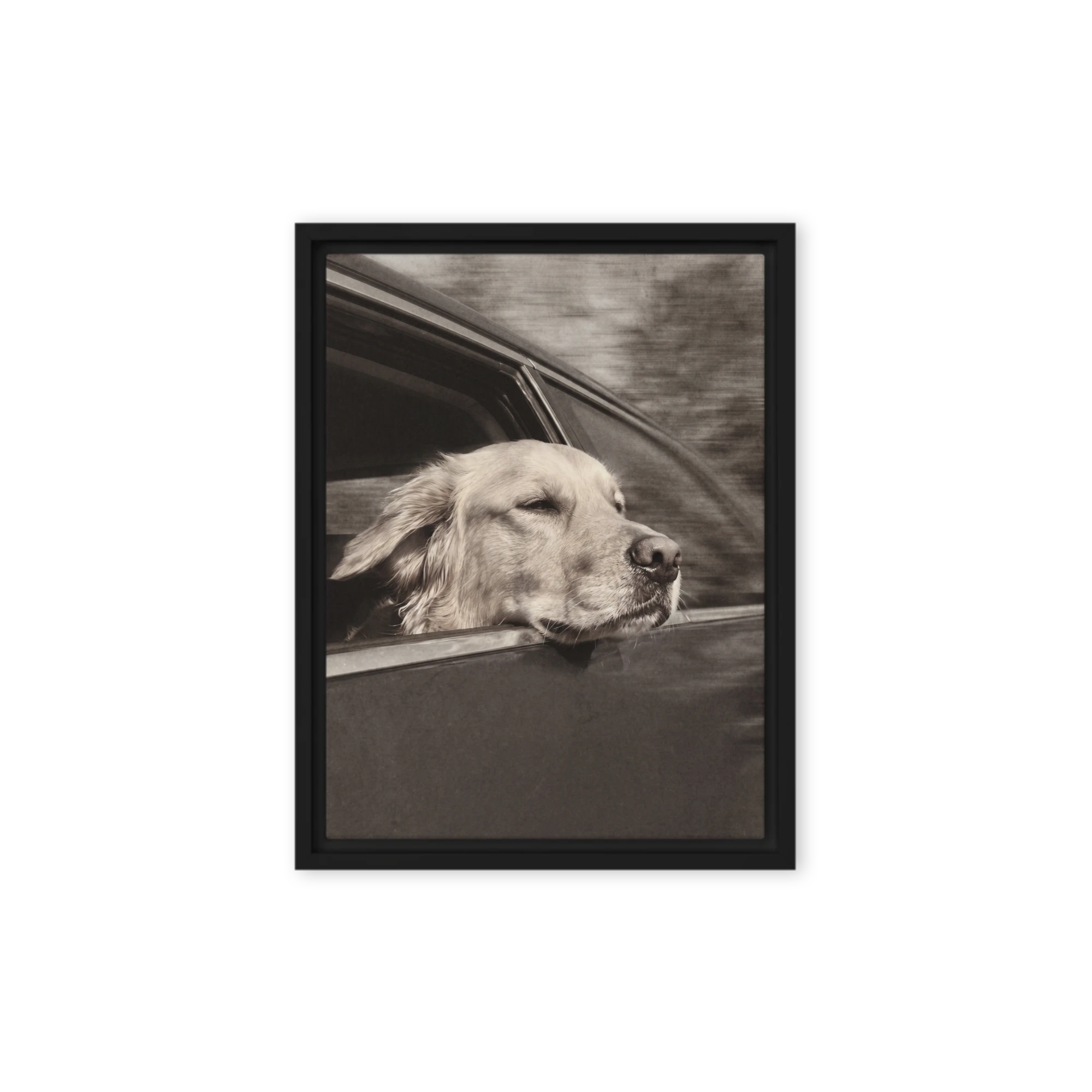 Pet Portrait — Silver Screen