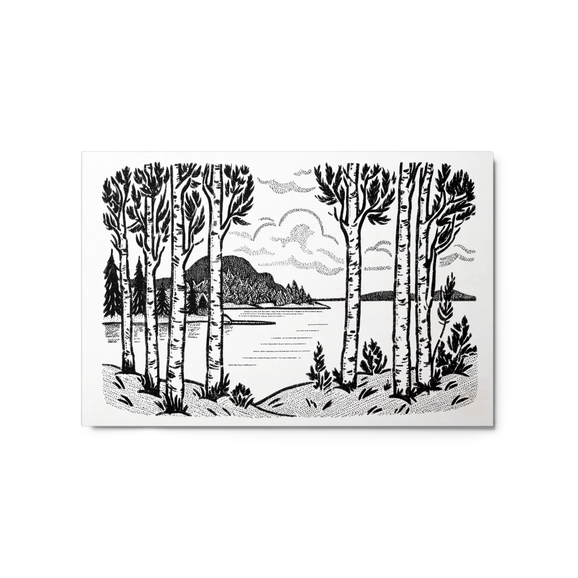 Birch Trees by the Lake