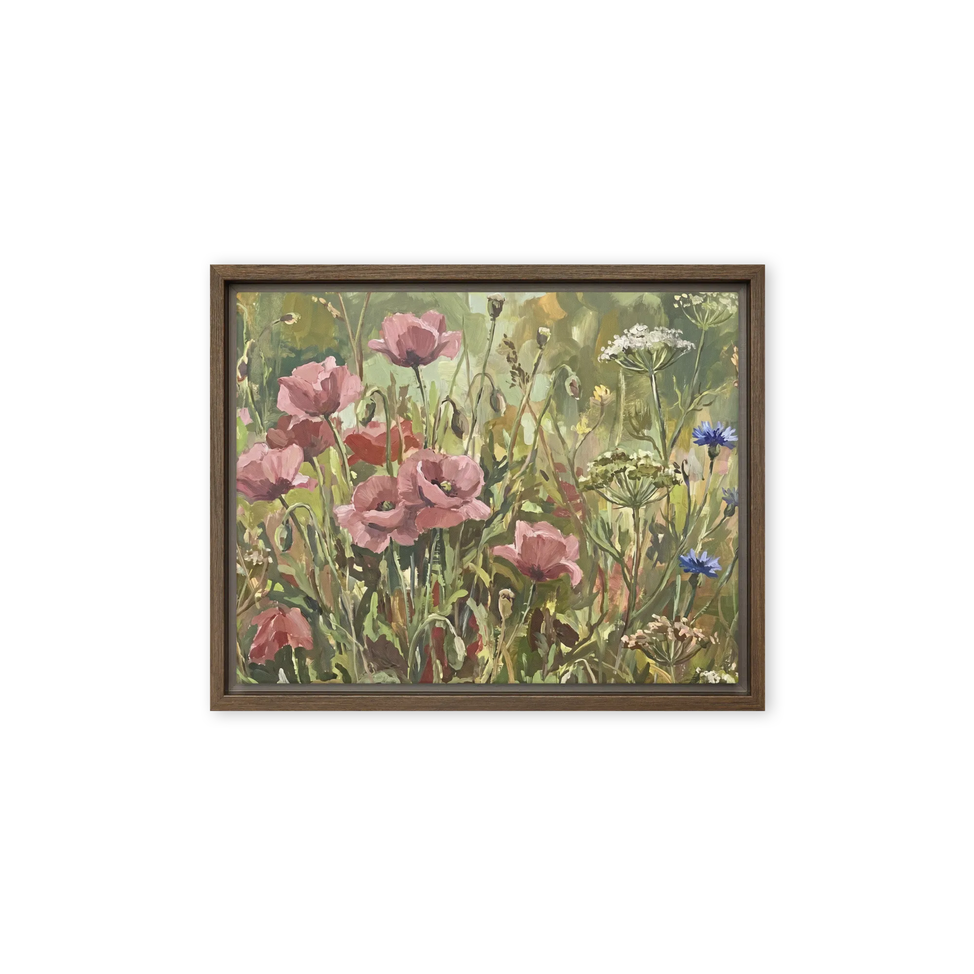 Poppy Meadow in Bloom