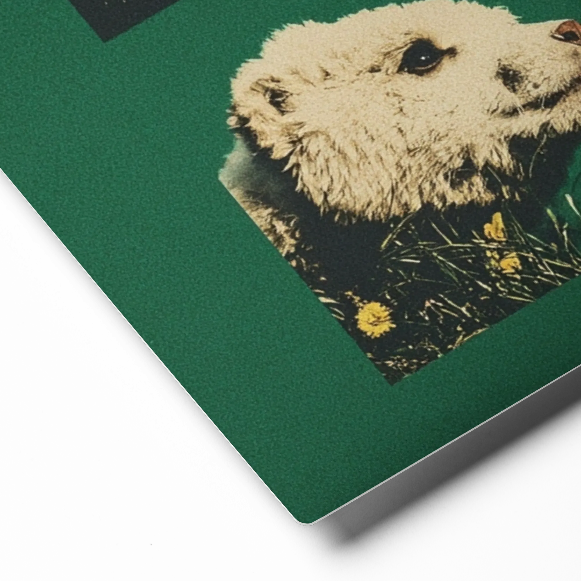 Forest Companions 
 Poster with Red oak Frame | 10″x 10″