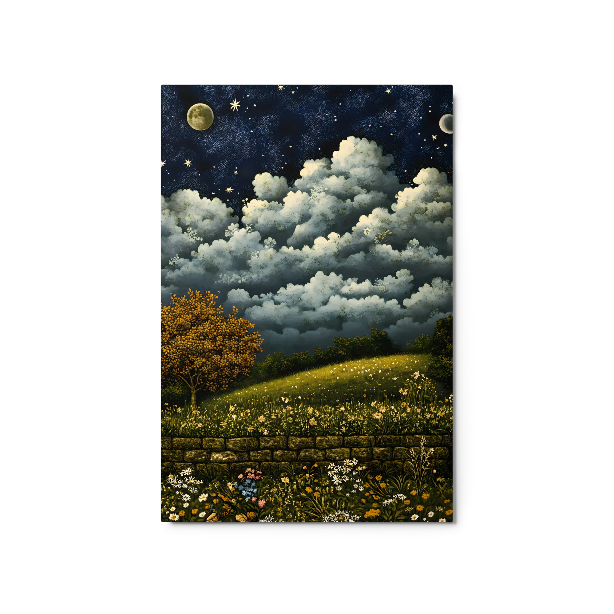 Enchanted Night Over the Meadow