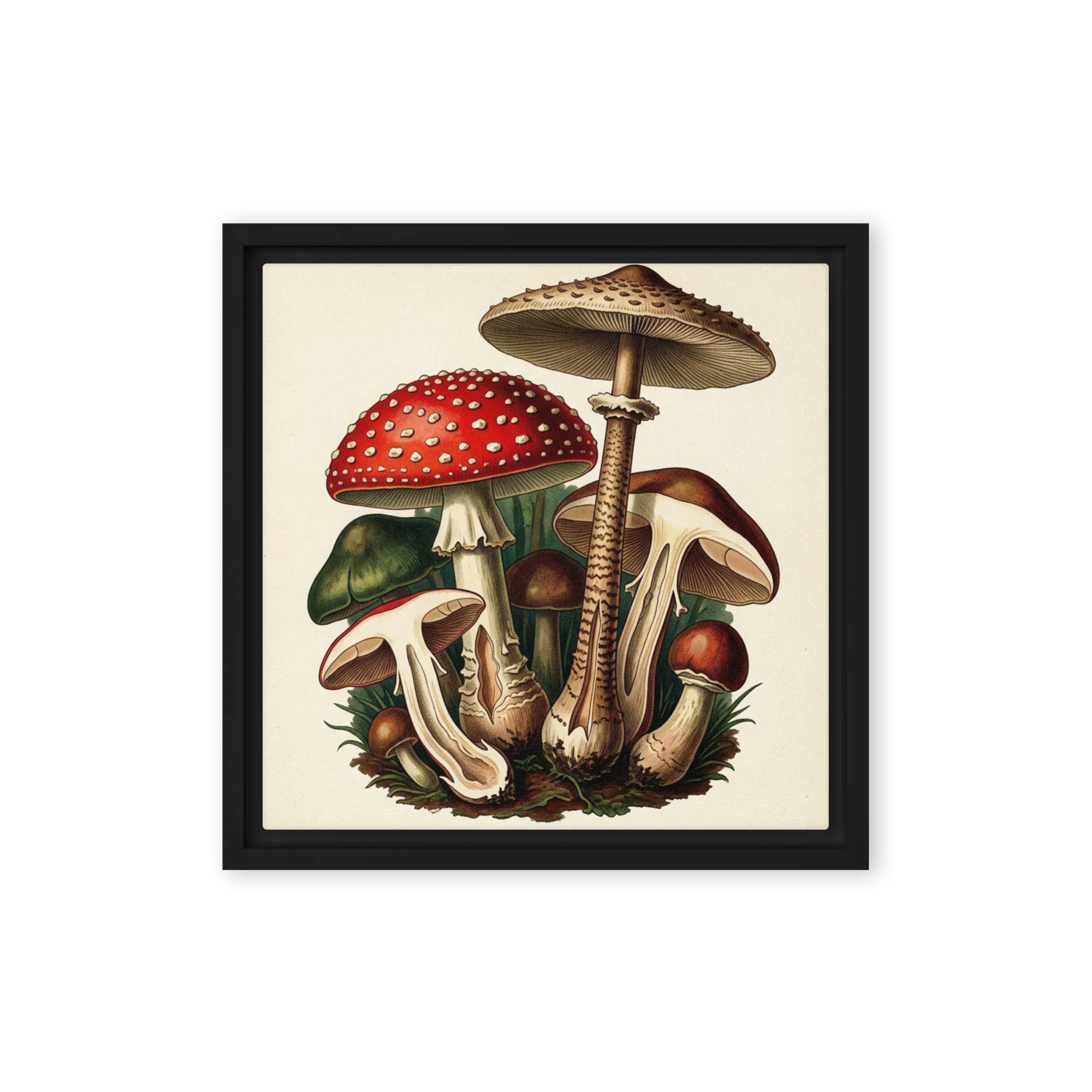 Forest Fungi Gathering