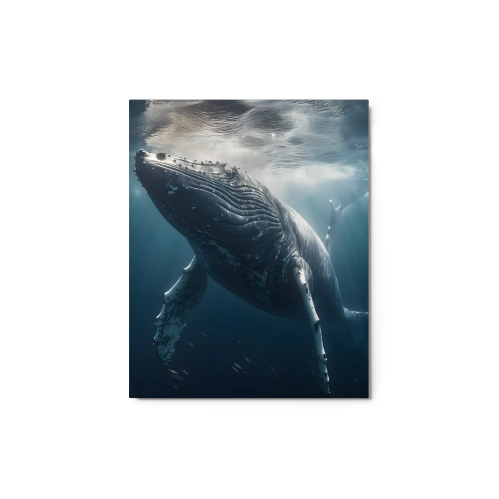 Underwater Humpback Whale