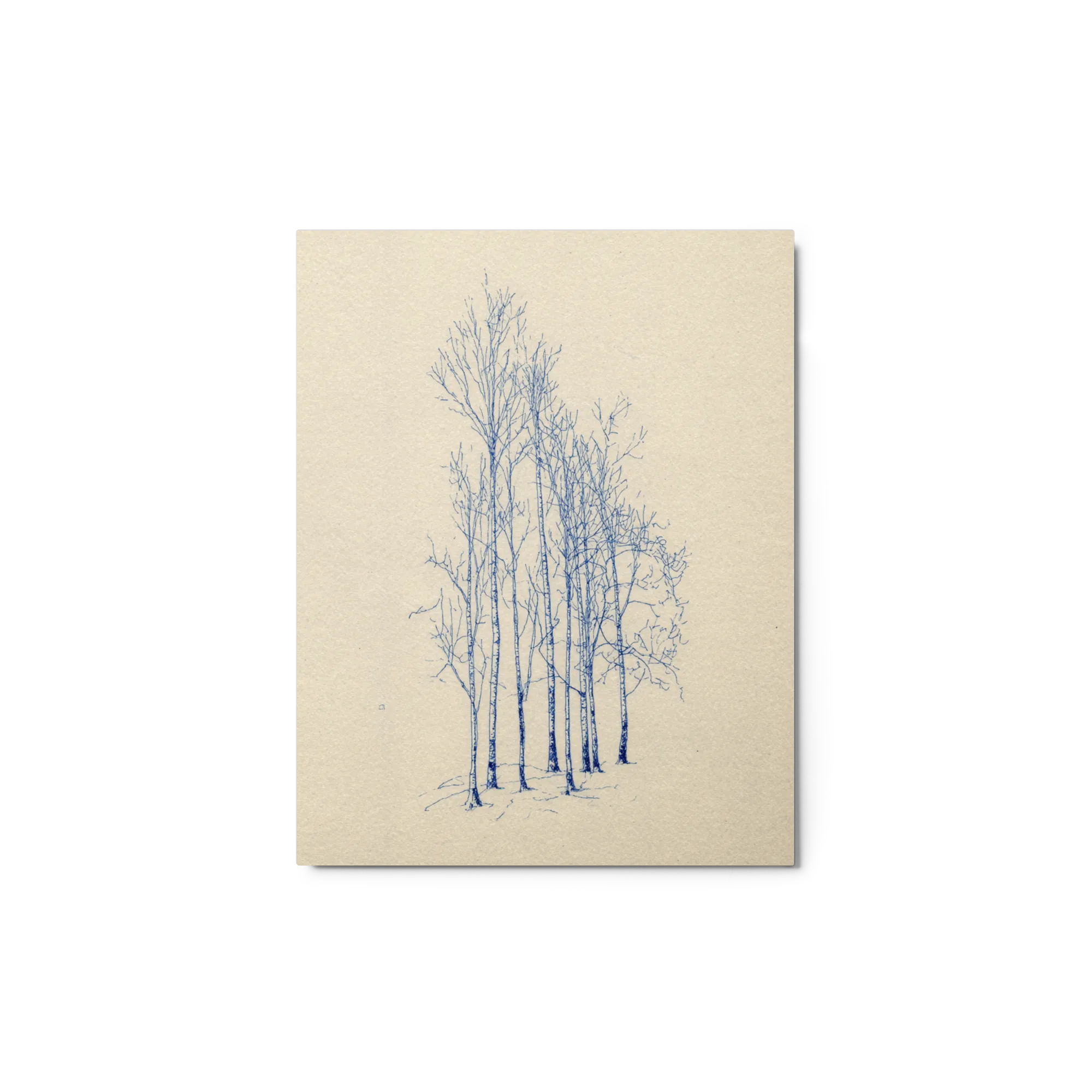 Slender Birches