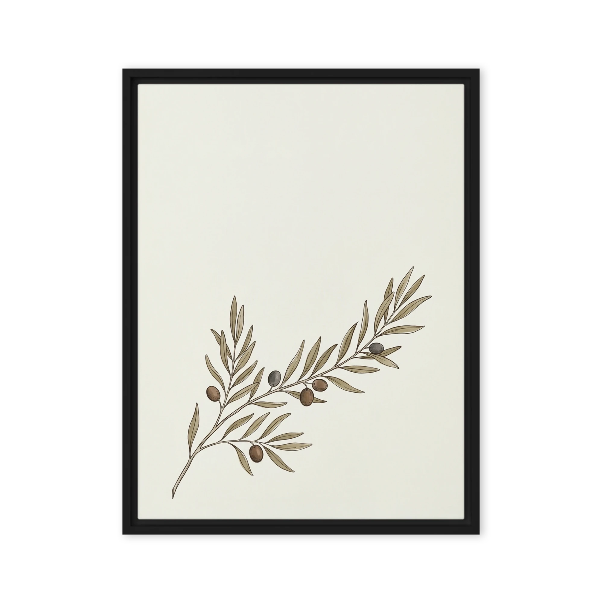 Mediterranean Olive Branch