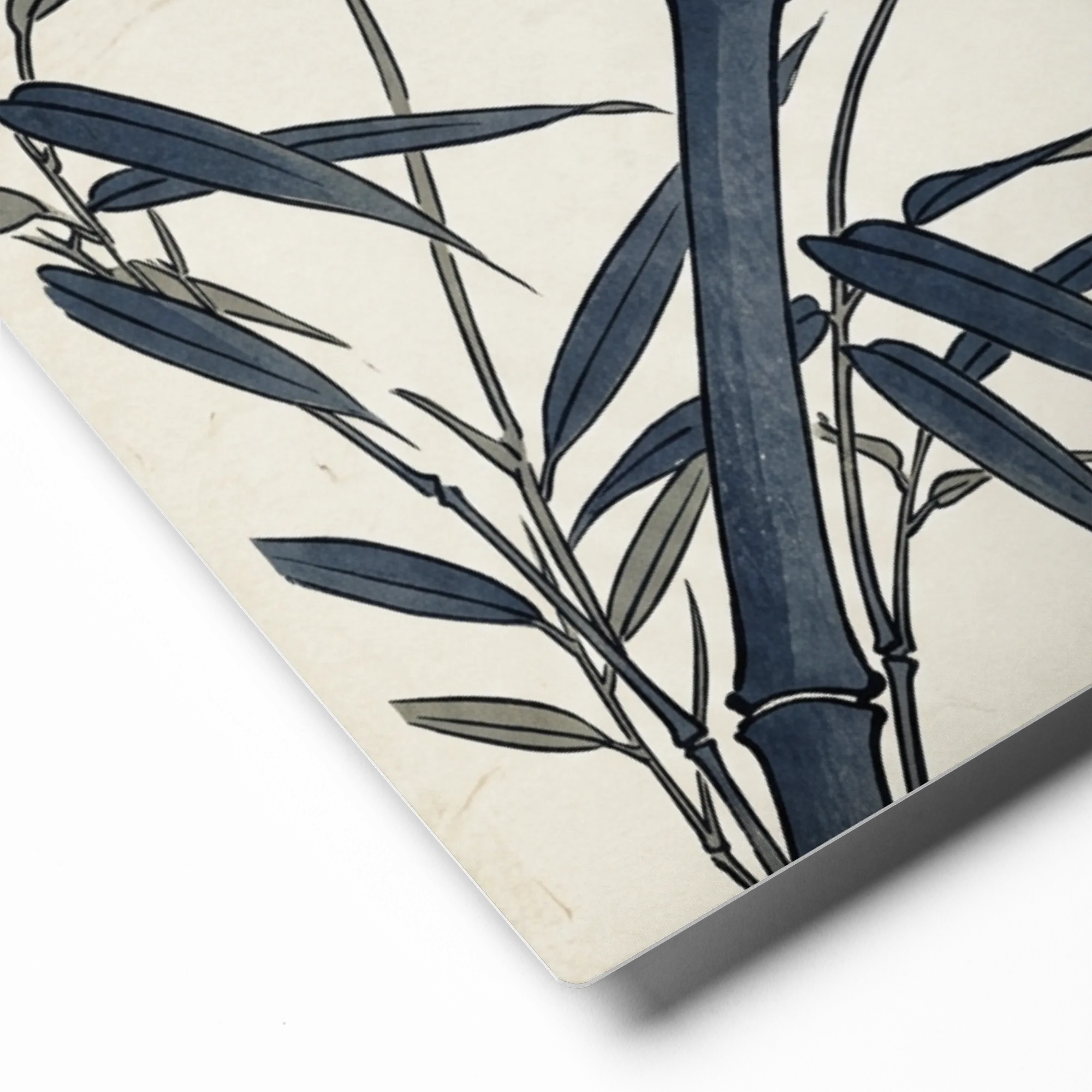 Sparrow on Bamboo 
 Canvas with Black Frame