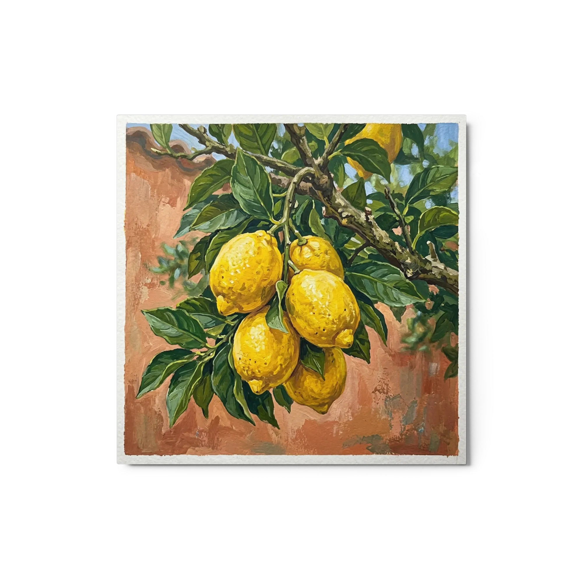 Citrus Grove Vista