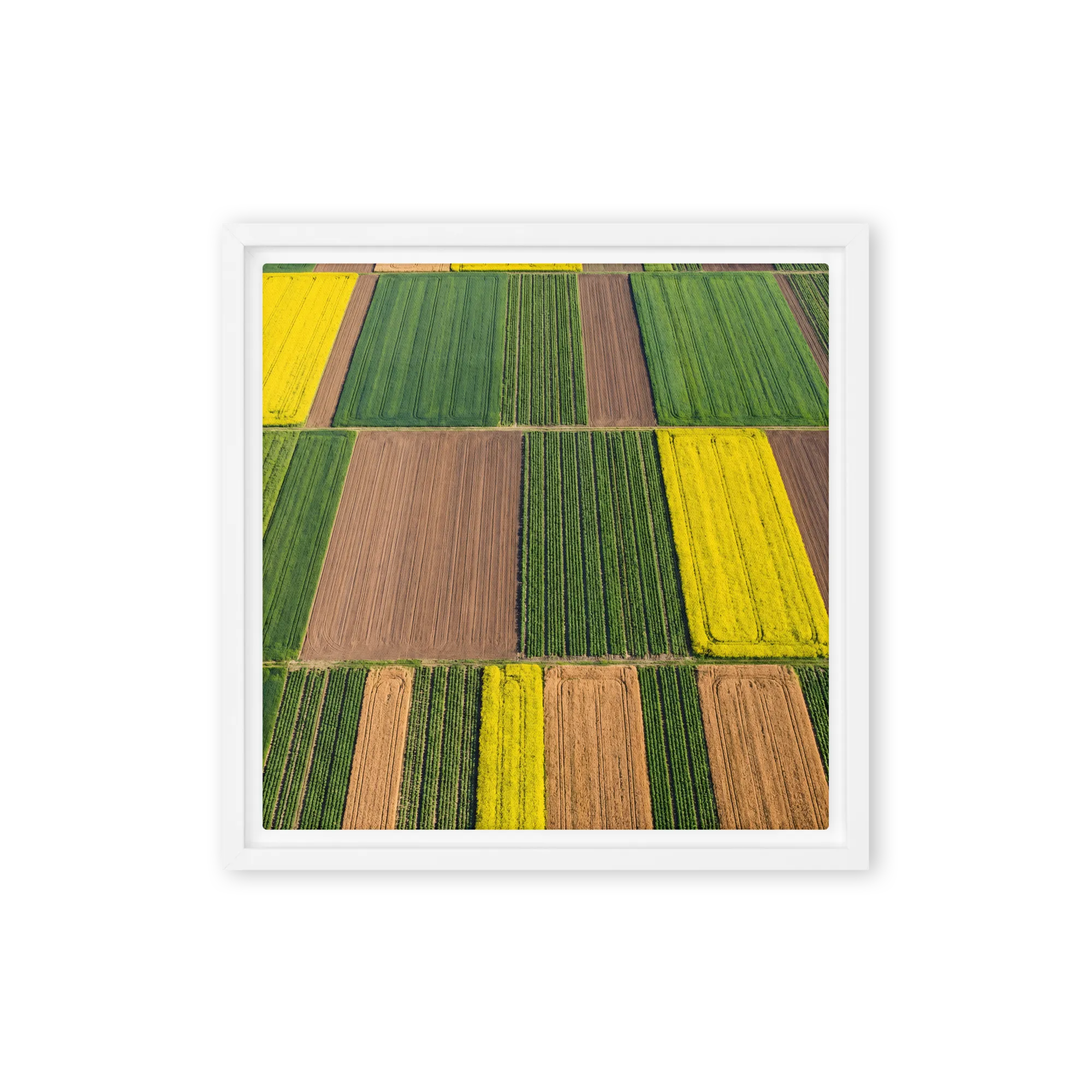 Patchwork Fields