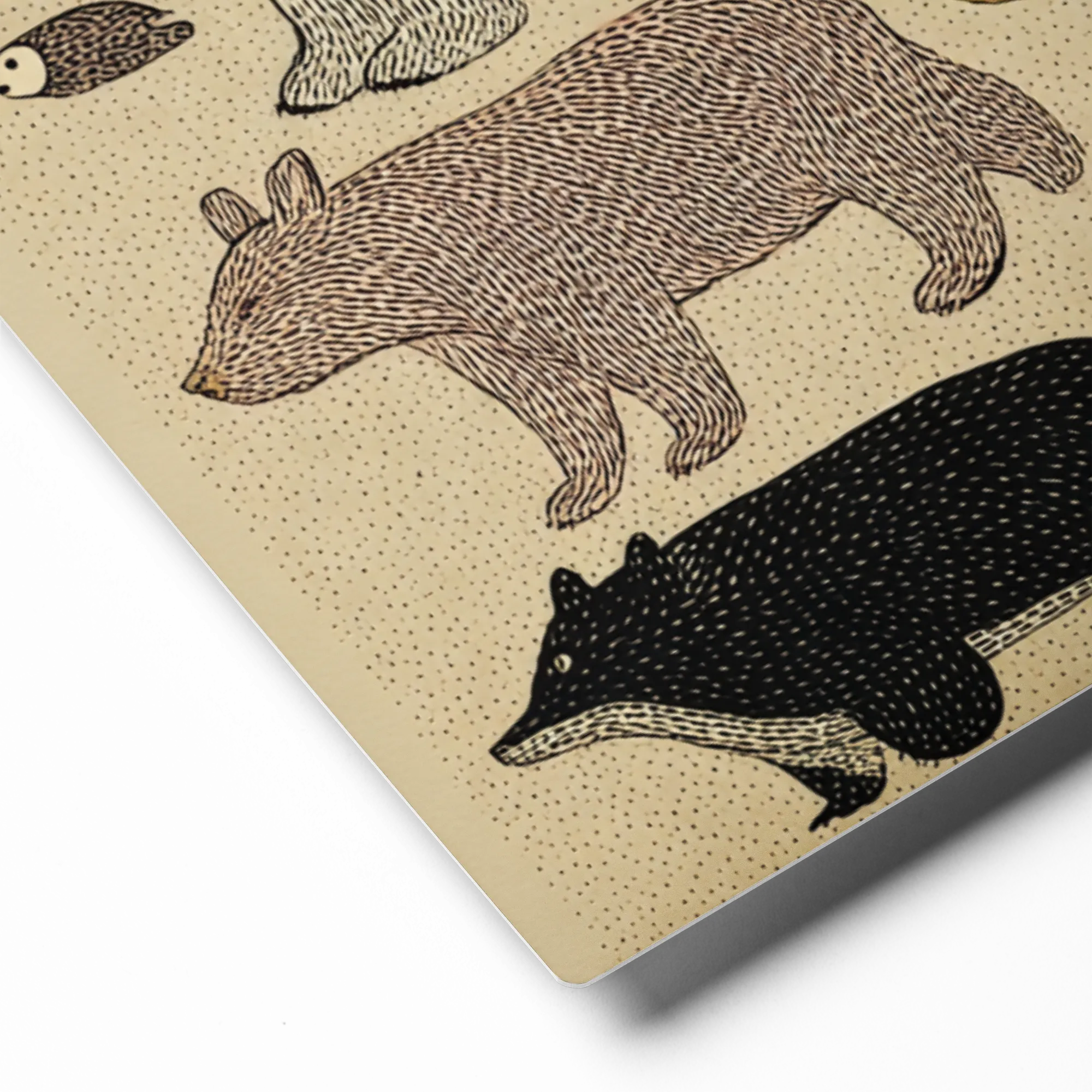 Stylized Woodland Animals 
 Canvas with Brown Frame