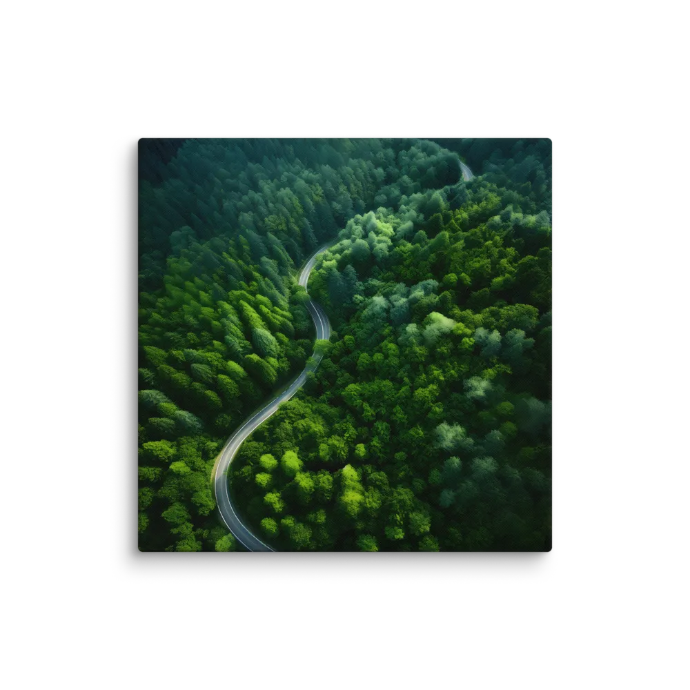 Winding Forest Road 
 Canvas | 30″x 30″