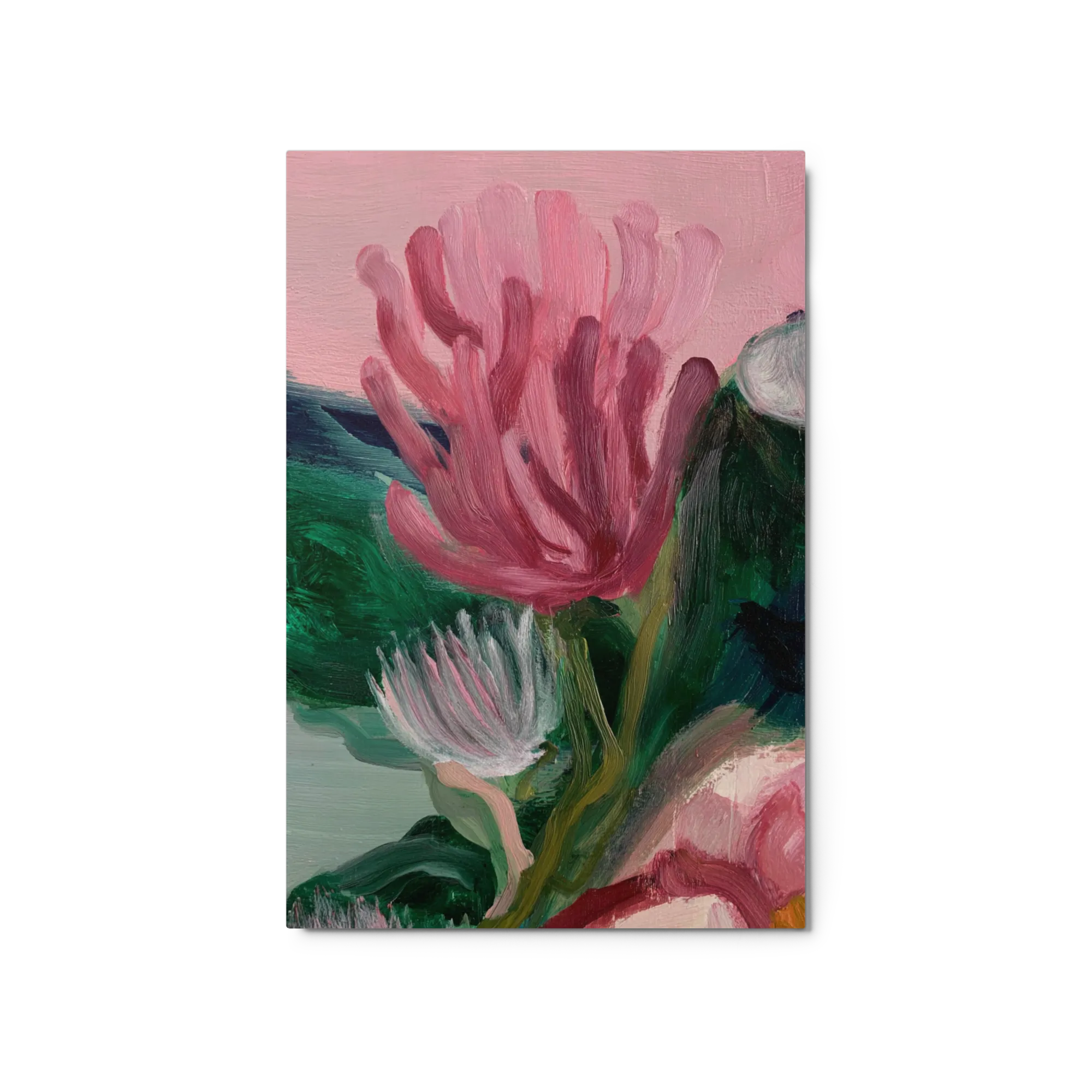 Blossoming Protea